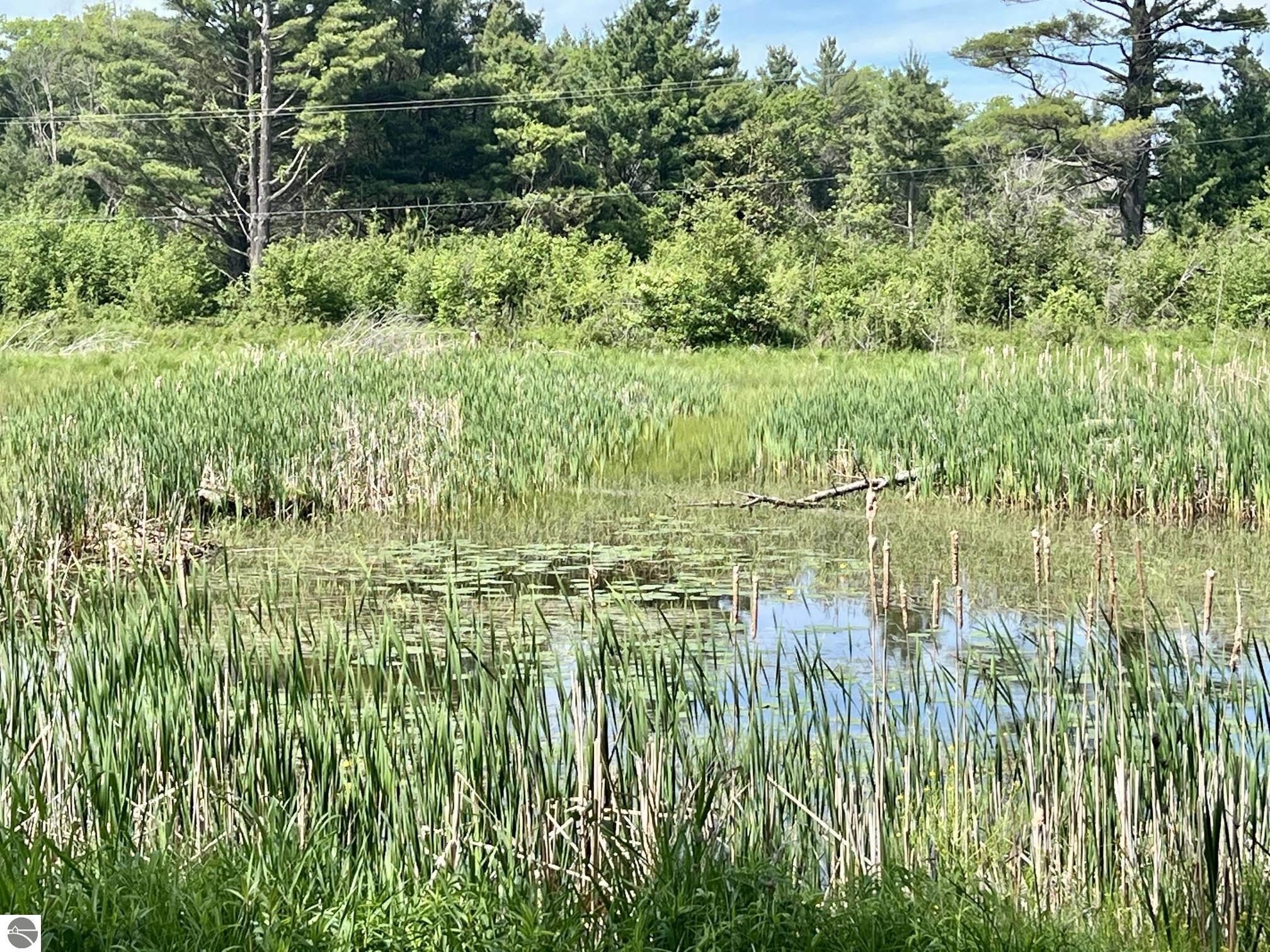 3325 N Us-23 N, Au Sable, MI 48750 — Photo 43