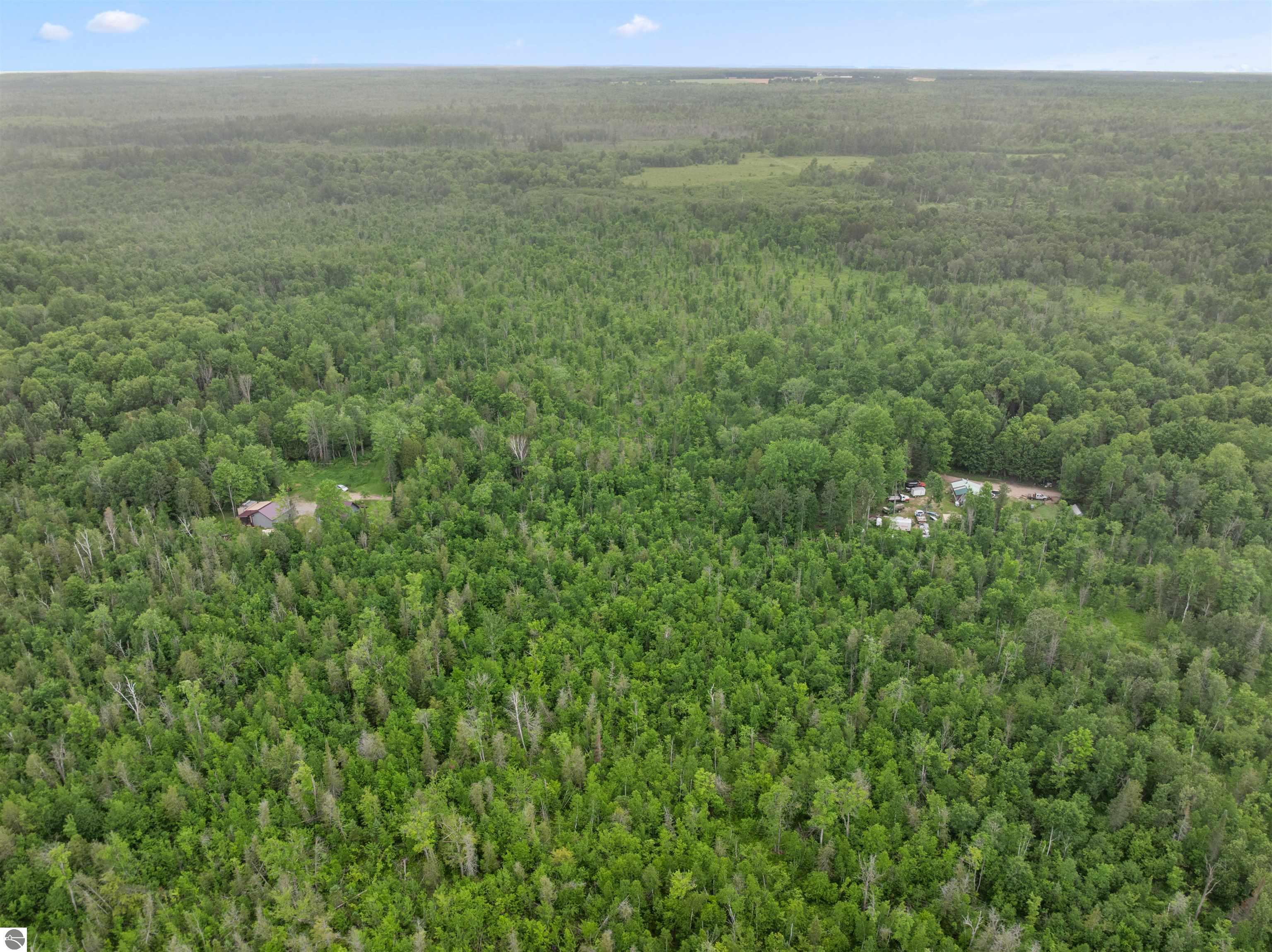 9124 Jyla Lane SE, Kalkaska, MI 49646 — Photo 43