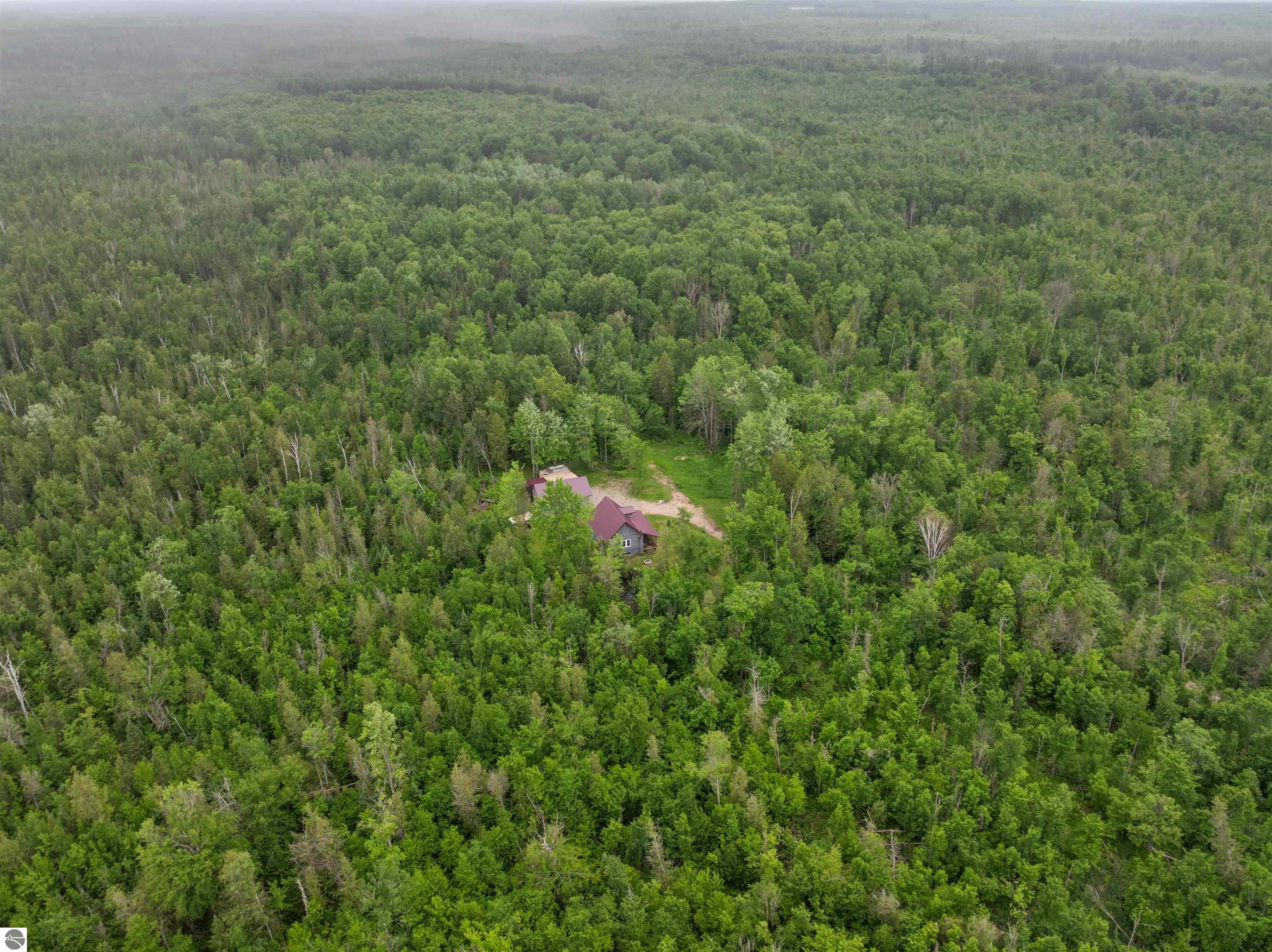 9124 Jyla Lane SE, Kalkaska, MI 49646 — Photo 45