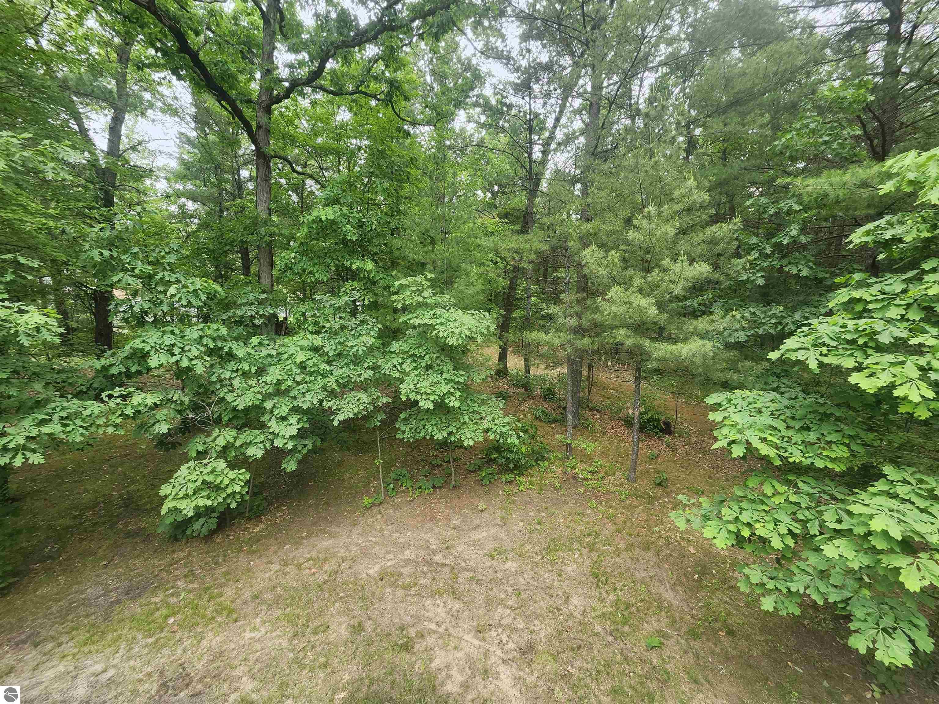 7348 Blue Ox Trail, South Branch, MI 48761 — Photo 26