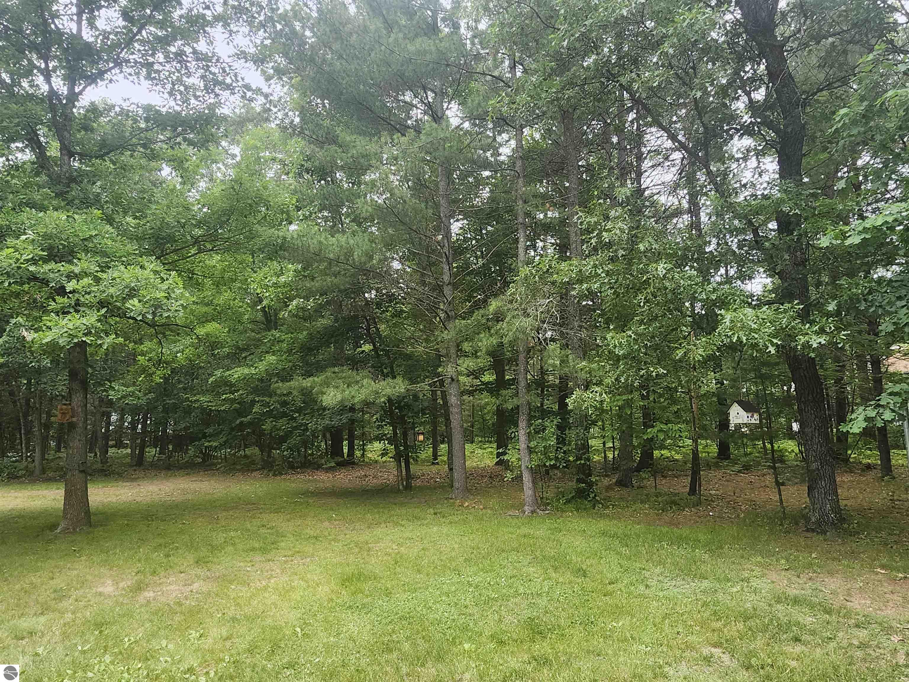 7348 Blue Ox Trail, South Branch, MI 48761 — Photo 27