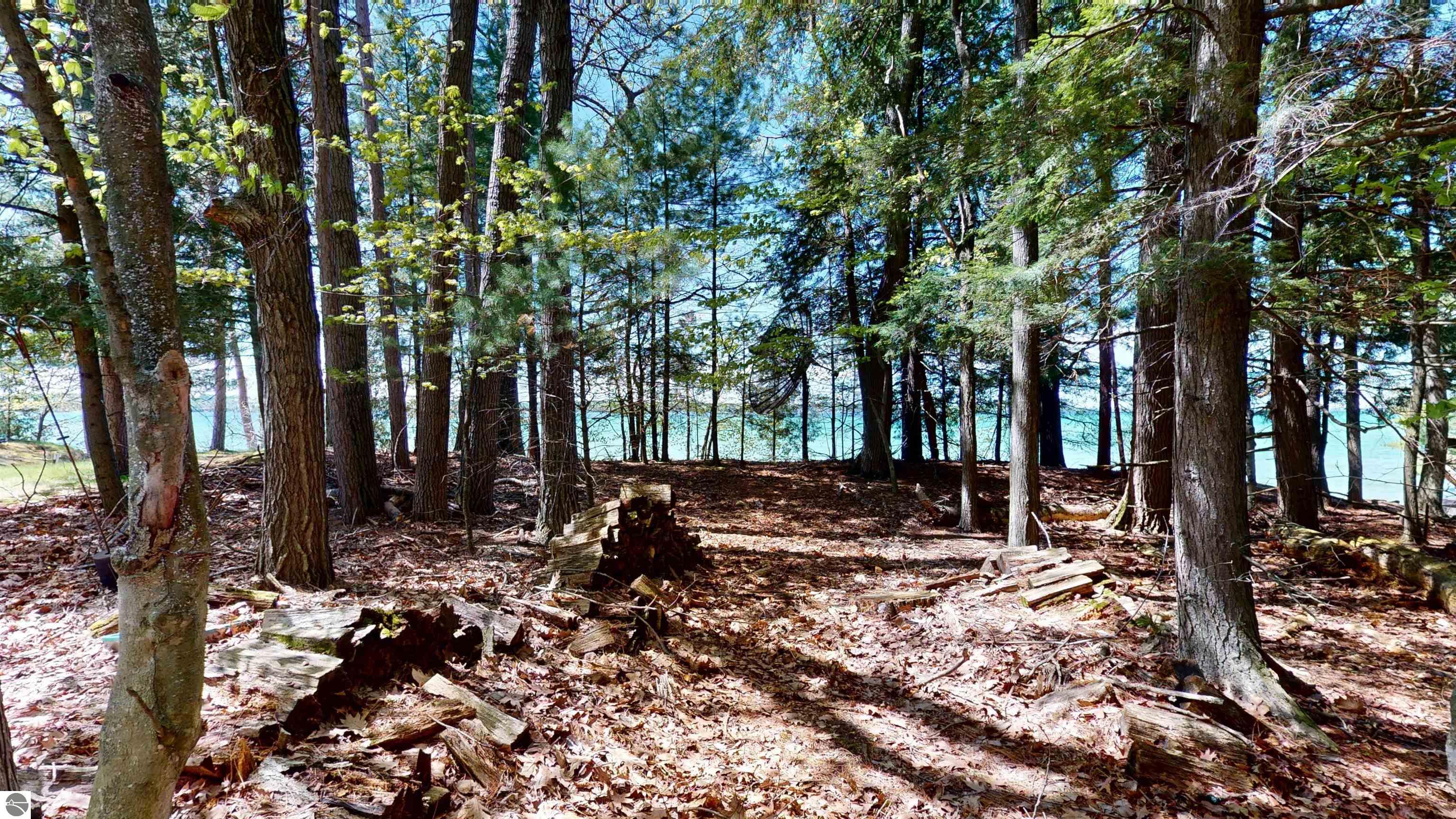 8645 Skegemog Point Road, Williamsburg, MI 49690 — Photo 16