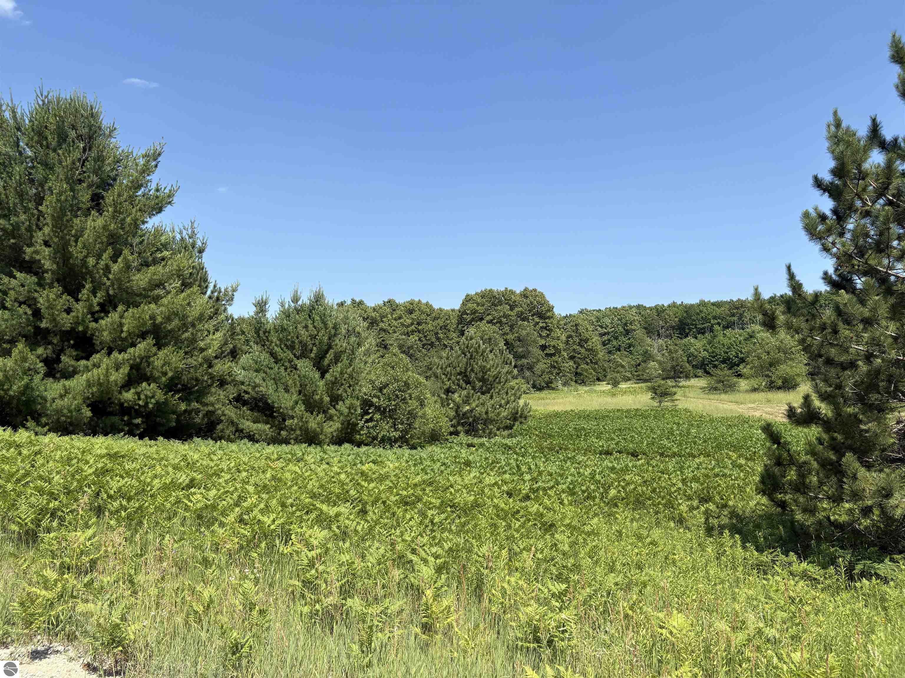 8655 SE Campbell Road, Fife Lake, MI 49633 — Photo 35