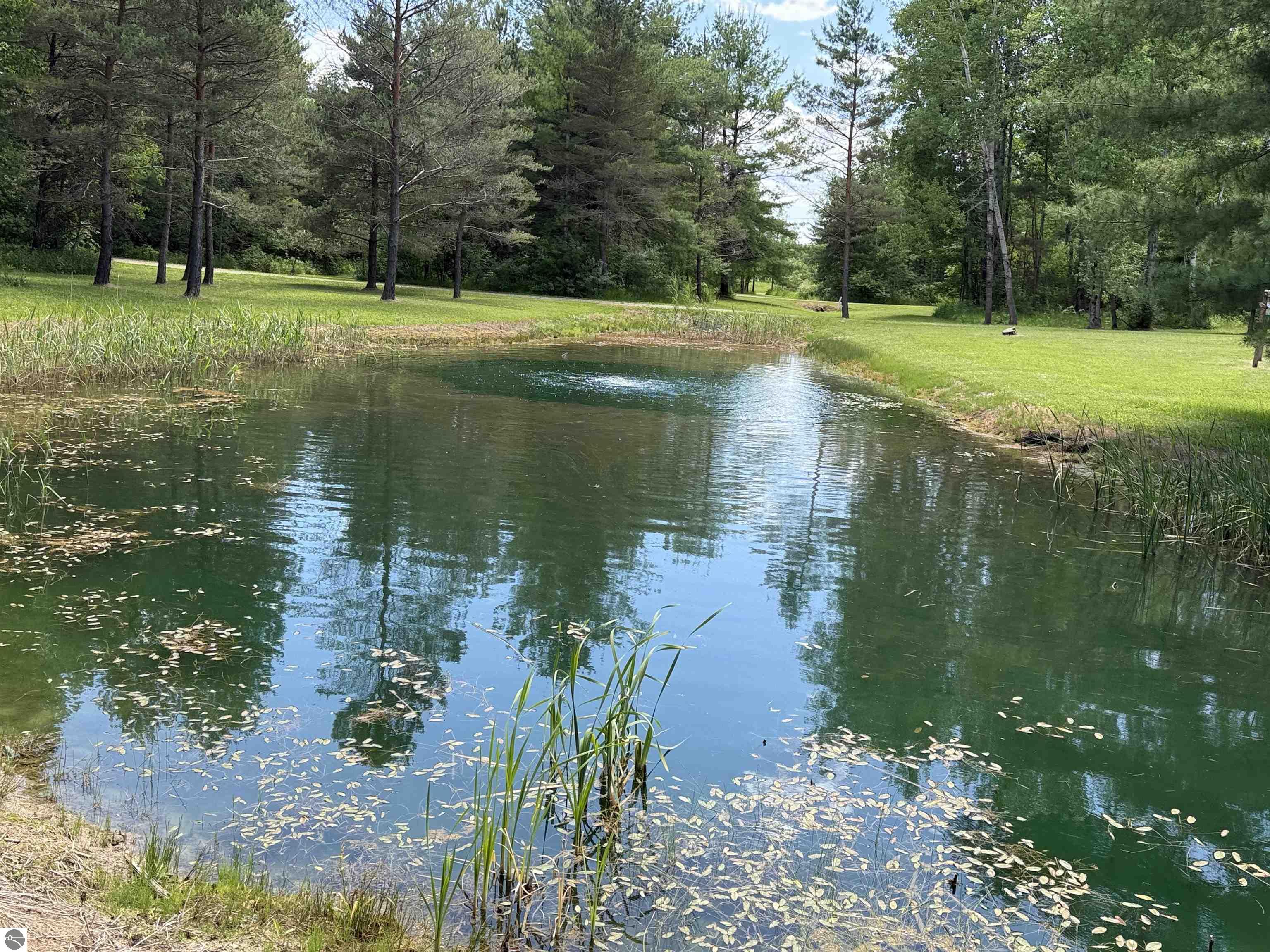 85 Busch Lane, Tawas City, MI 48763 — Photo 15