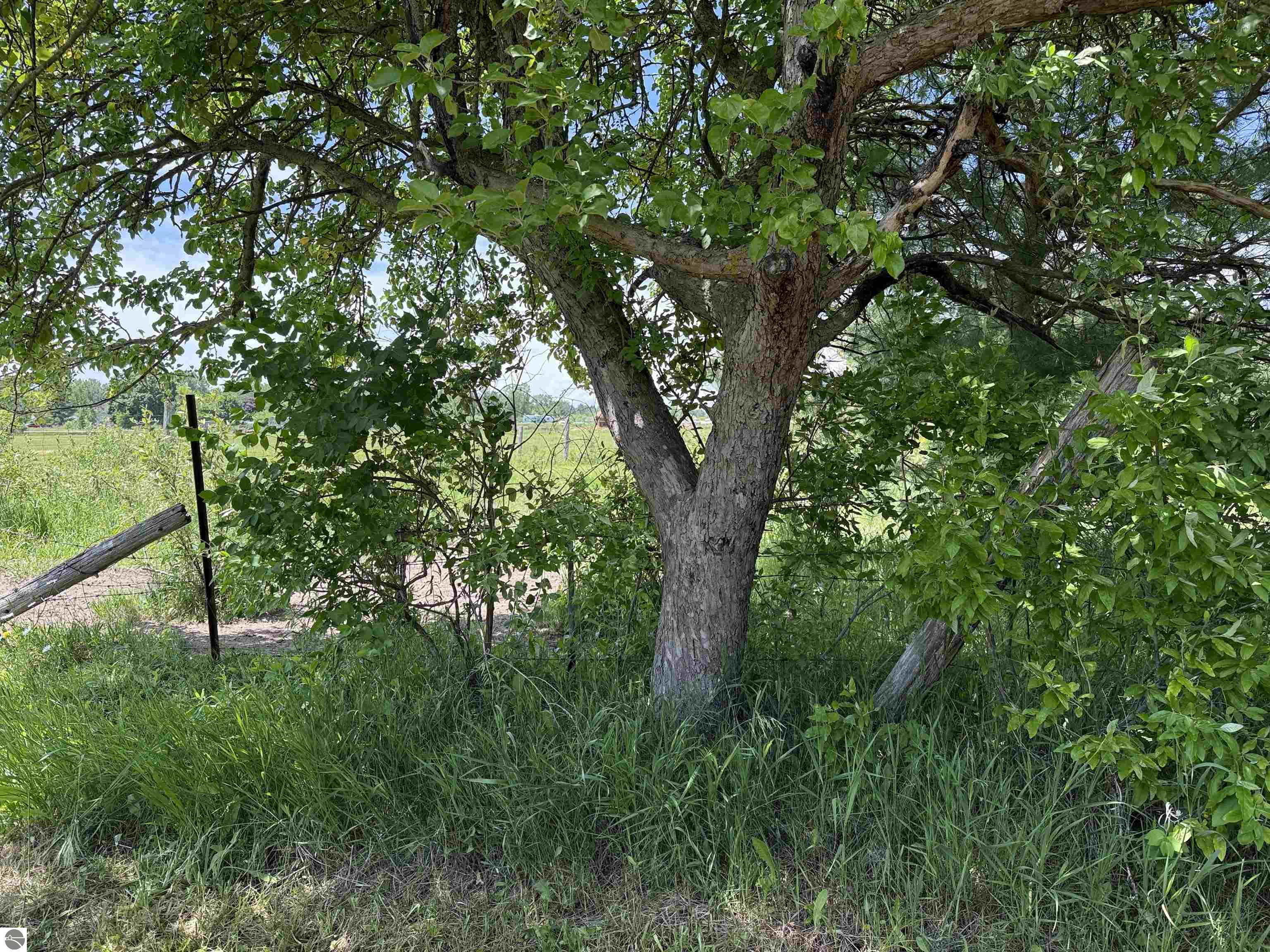 85 Busch Lane, Tawas City, MI 48763 — Photo 22