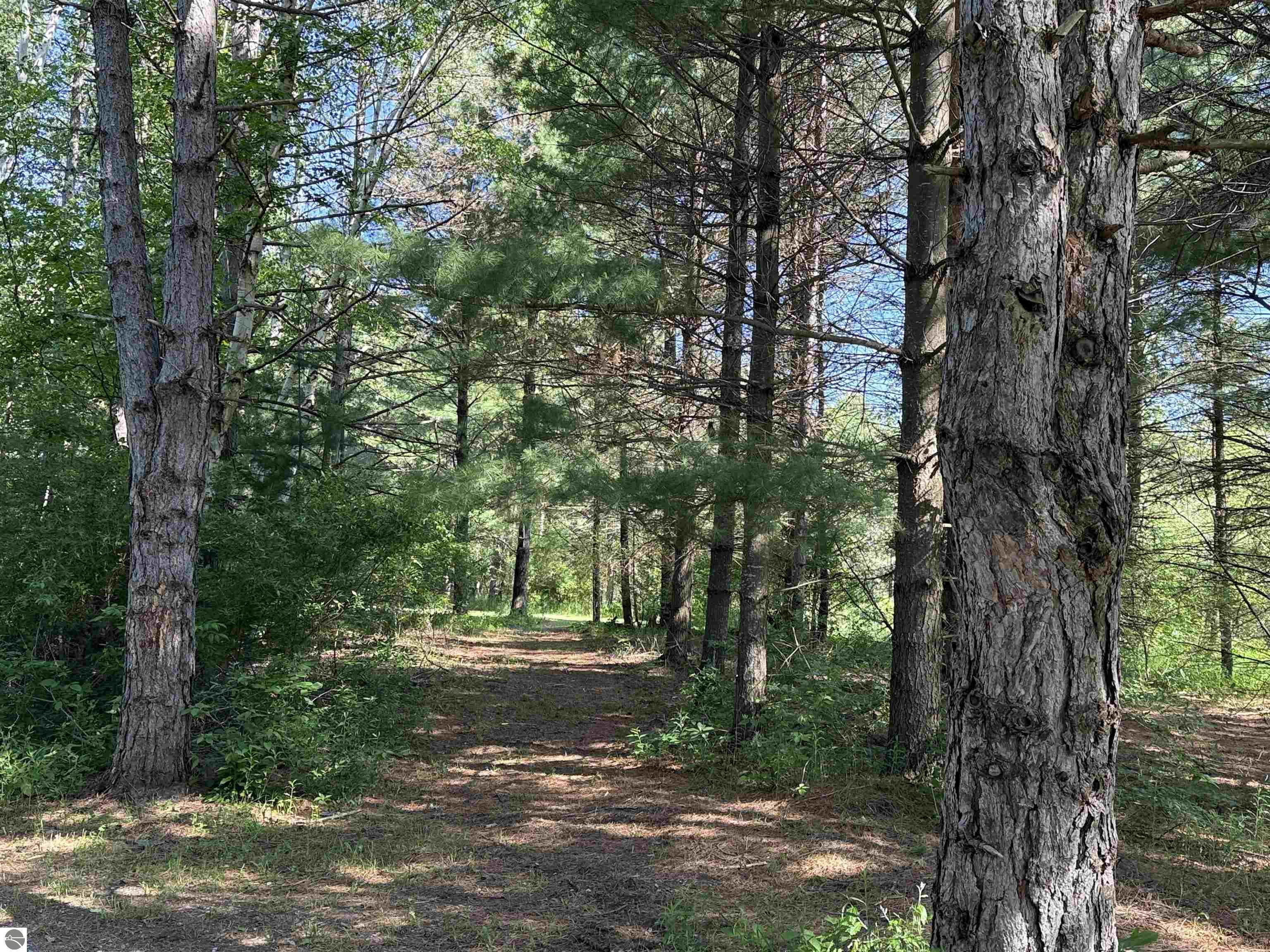 85 Busch Lane, Tawas City, MI 48763 — Photo 25