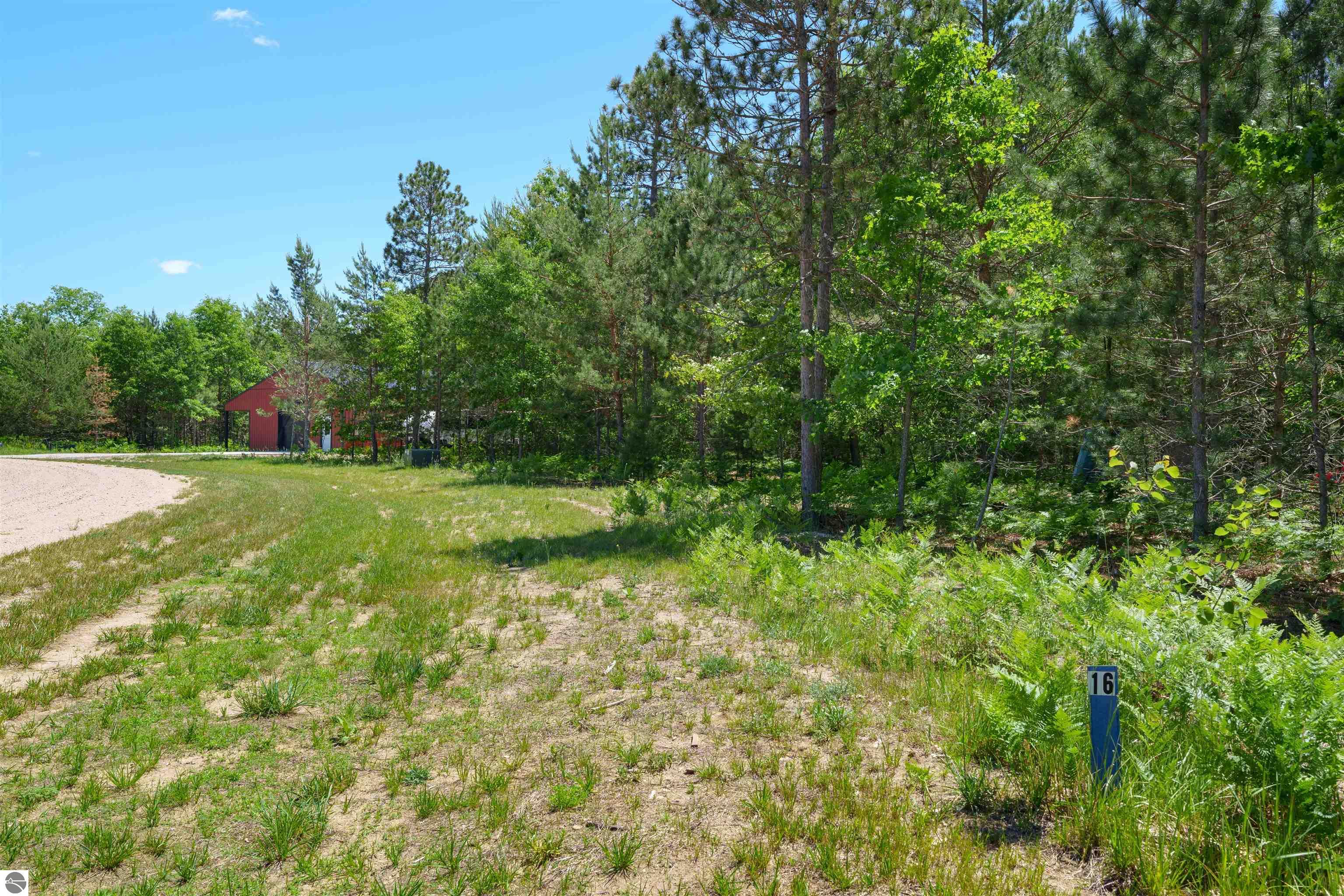 8006 Springwater Drive, Rapid City, MI 49676 — Photo 57