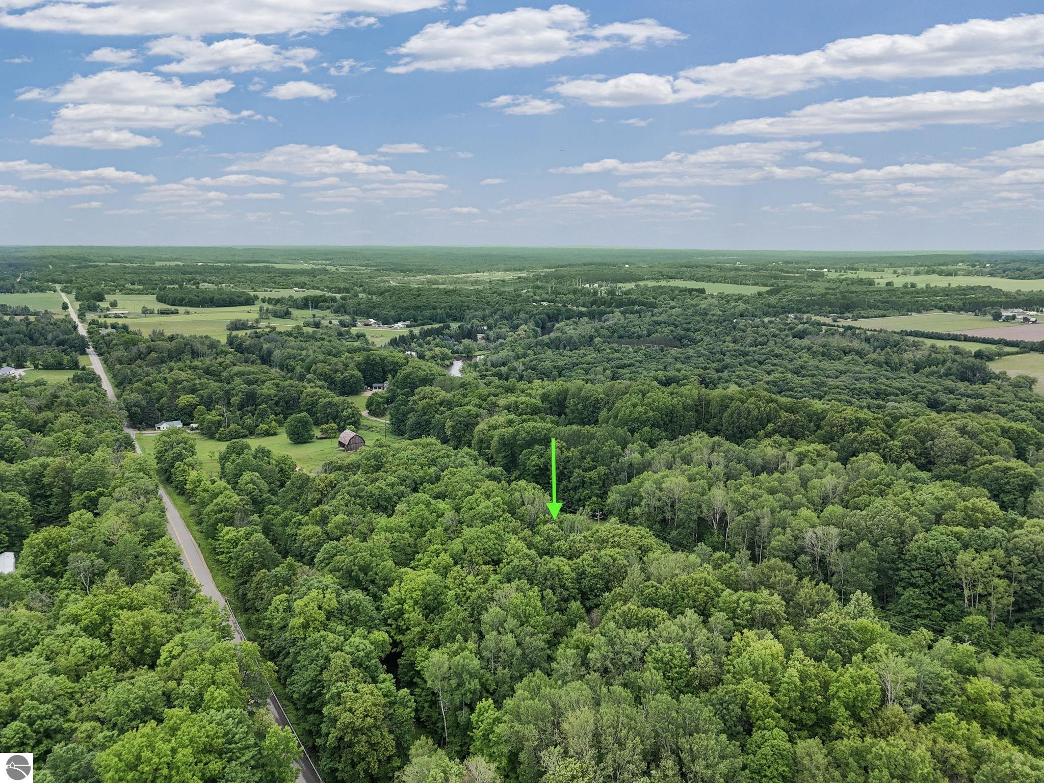17924 River Bluffs Drive, Hersey, MI 49639 — Photo 7