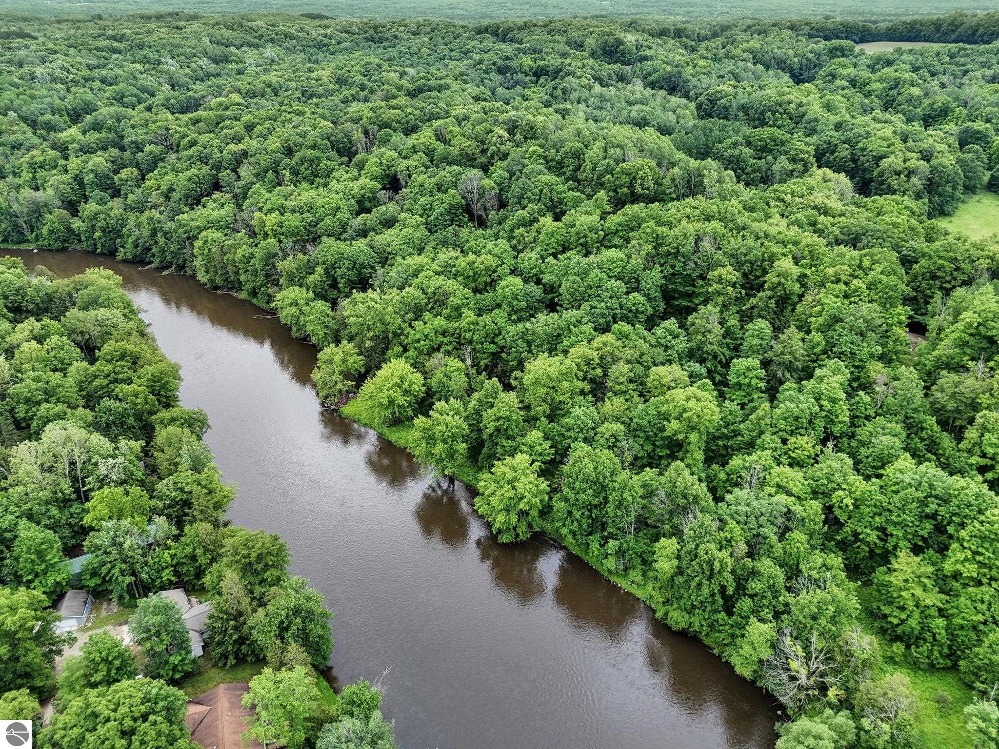 17924 River Bluffs Drive, Hersey, MI 49639 — Photo 10