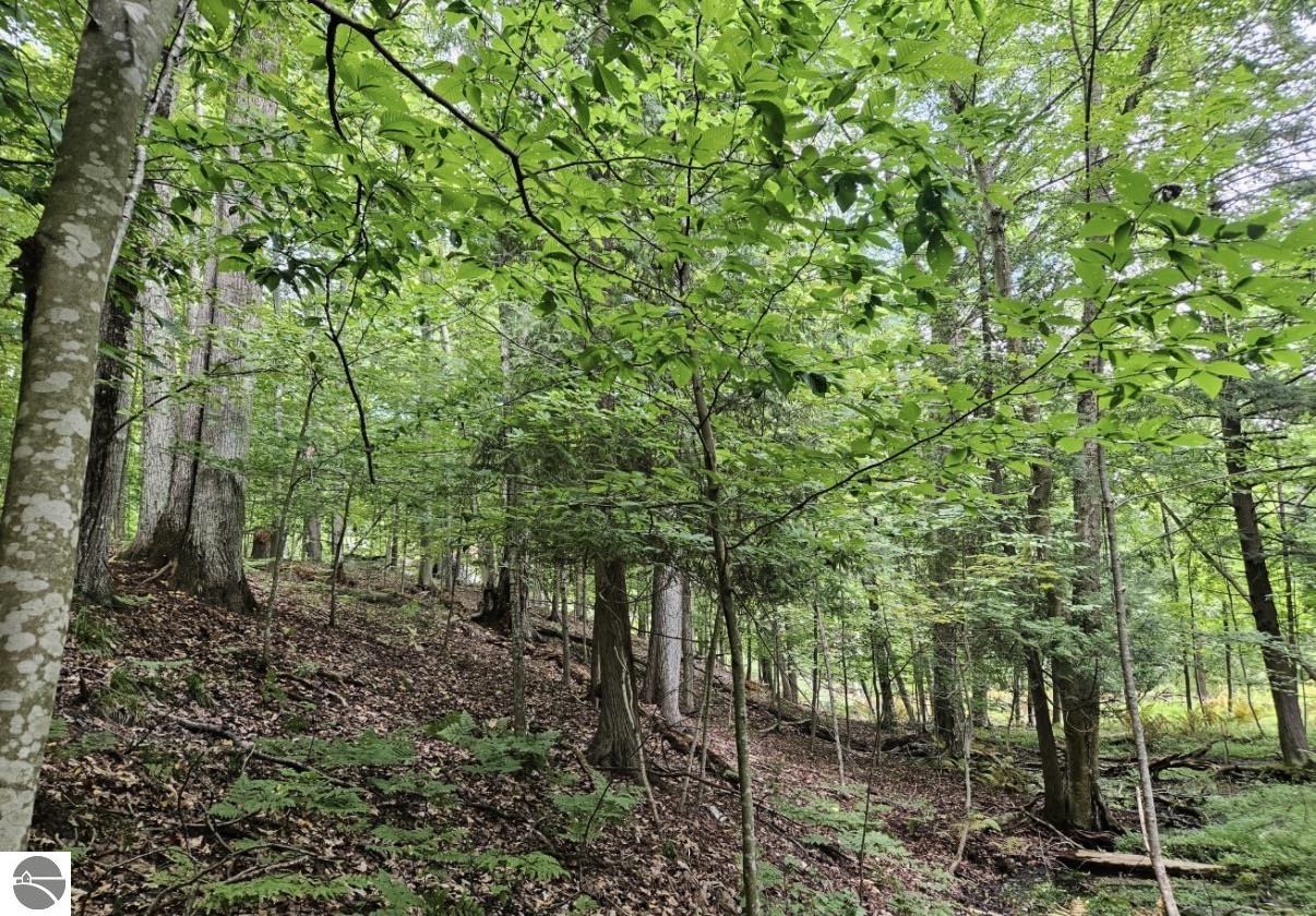 Image 14