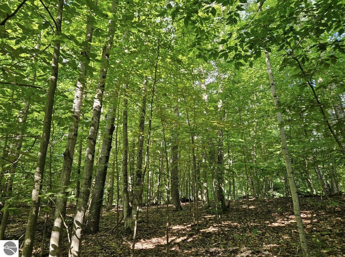Image 15