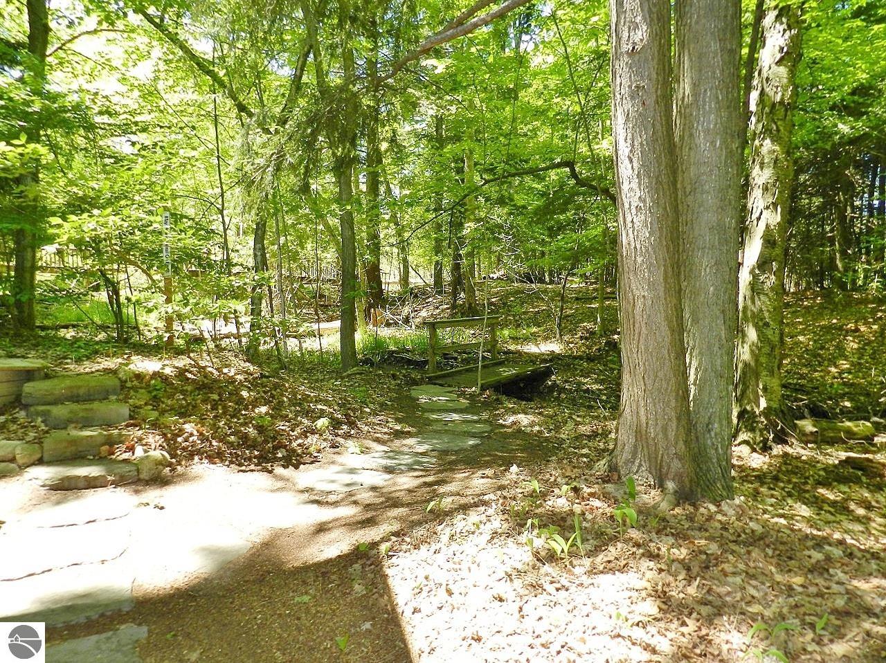 Image 41