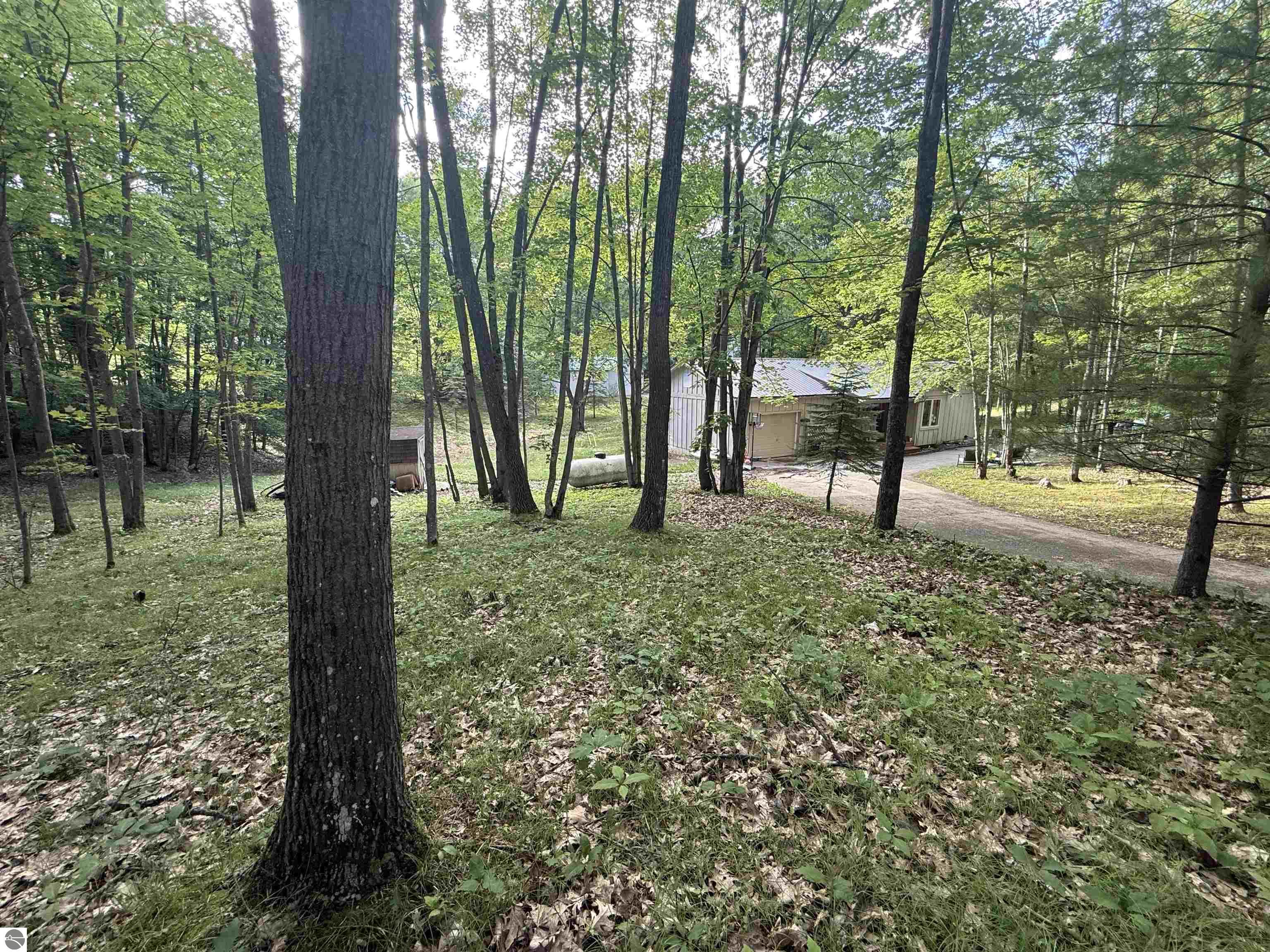 189 Forest Trail, Leroy, MI 49655 — Photo 14