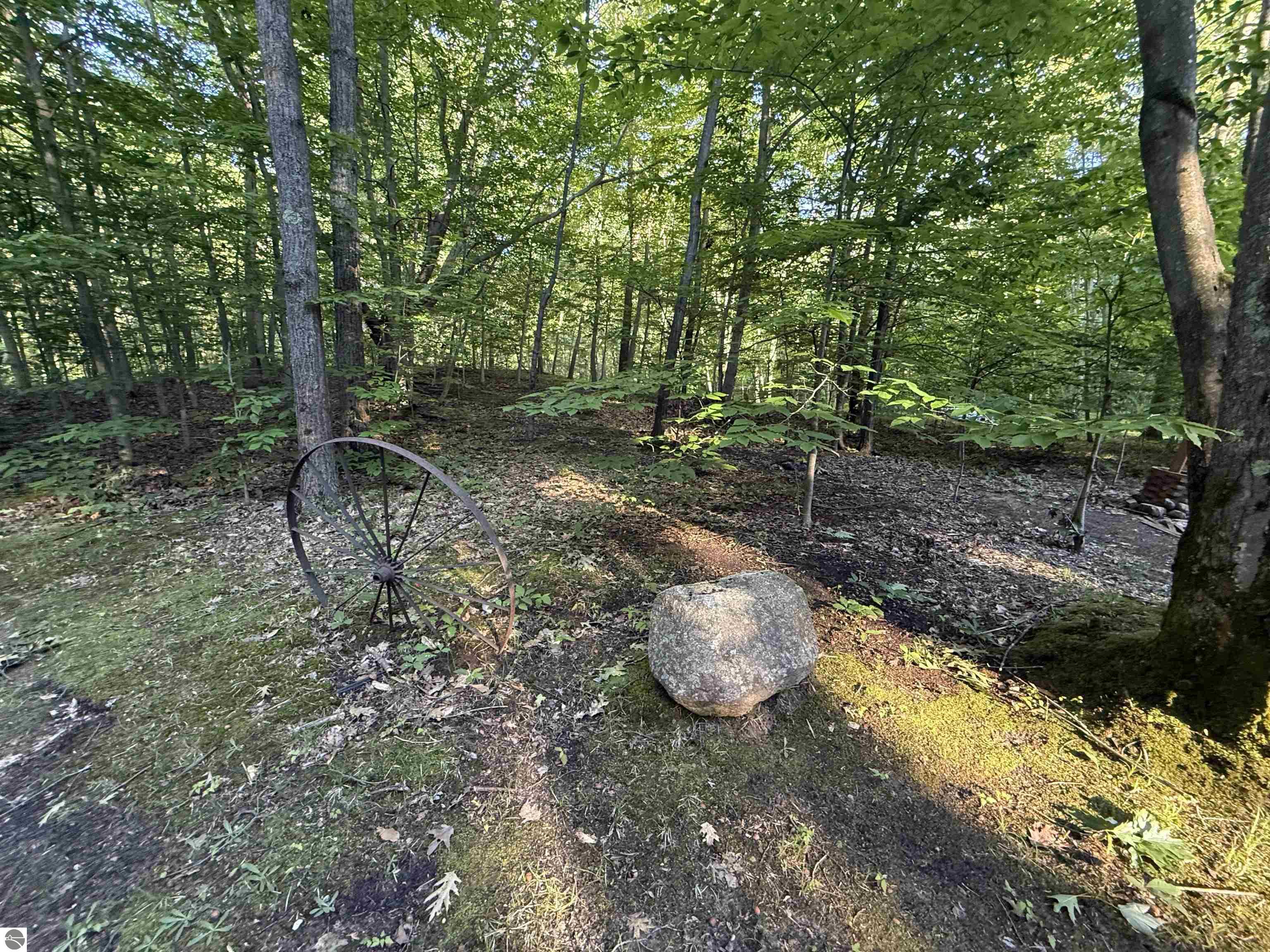 189 Forest Trail, Leroy, MI 49655 — Photo 18