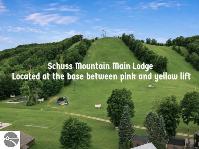6500 Schuss Mountain Lane, Mancelona, MI 49659 — Photo 2
