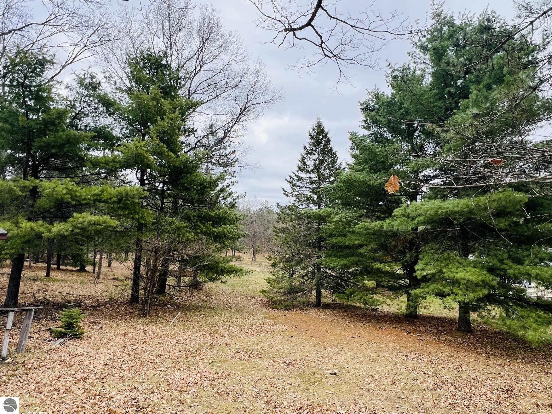 2400 Curtis Road, National City, MI 48748 — Photo 22
