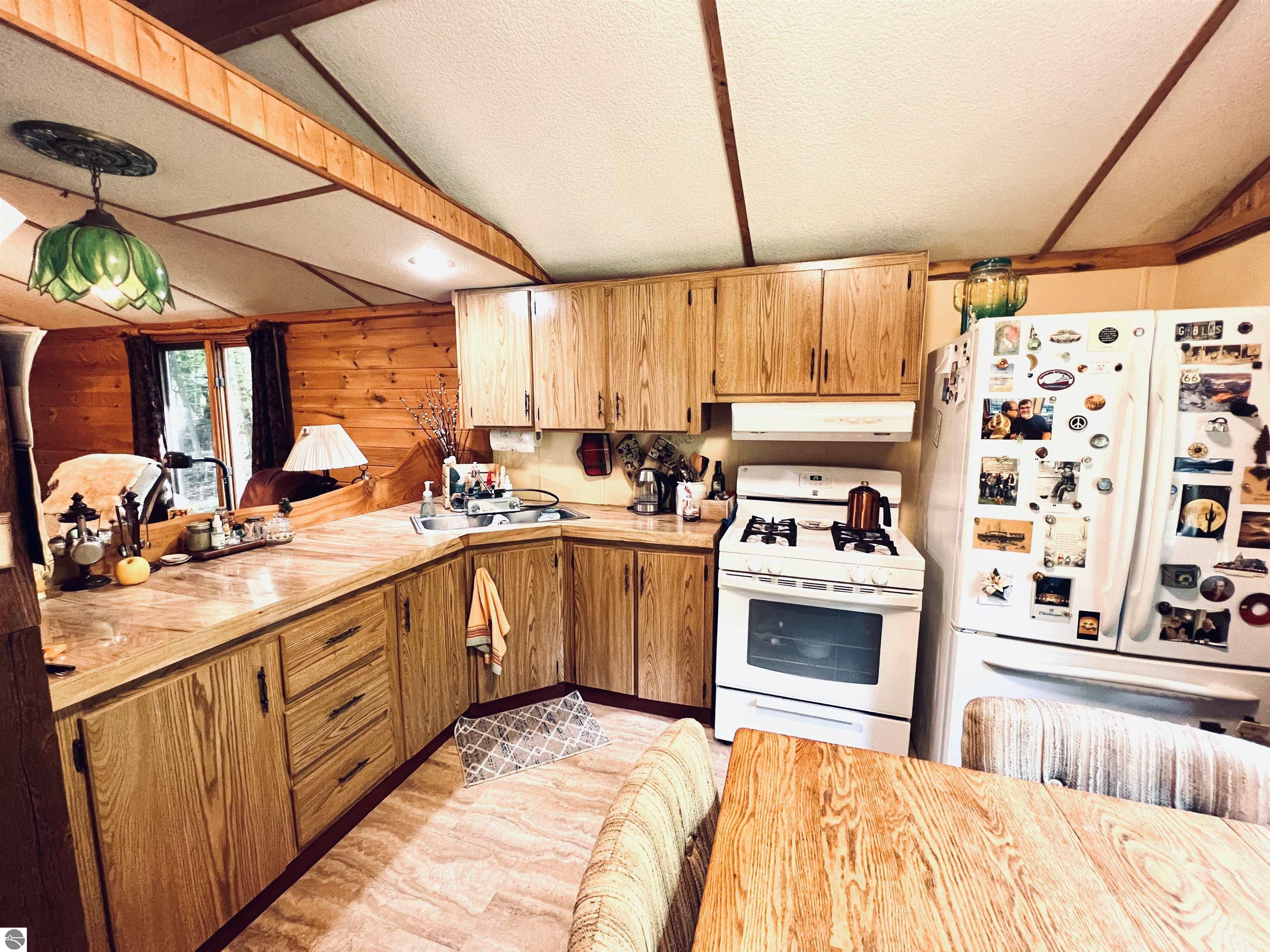 154 Hills Circle, Leroy, MI 49655 — Photo 12