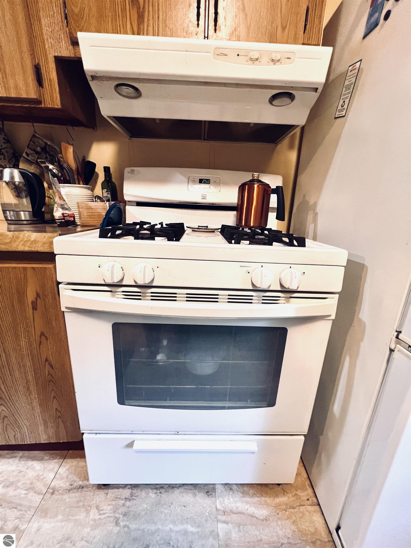154 Hills Circle, Leroy, MI 49655 — Photo 15