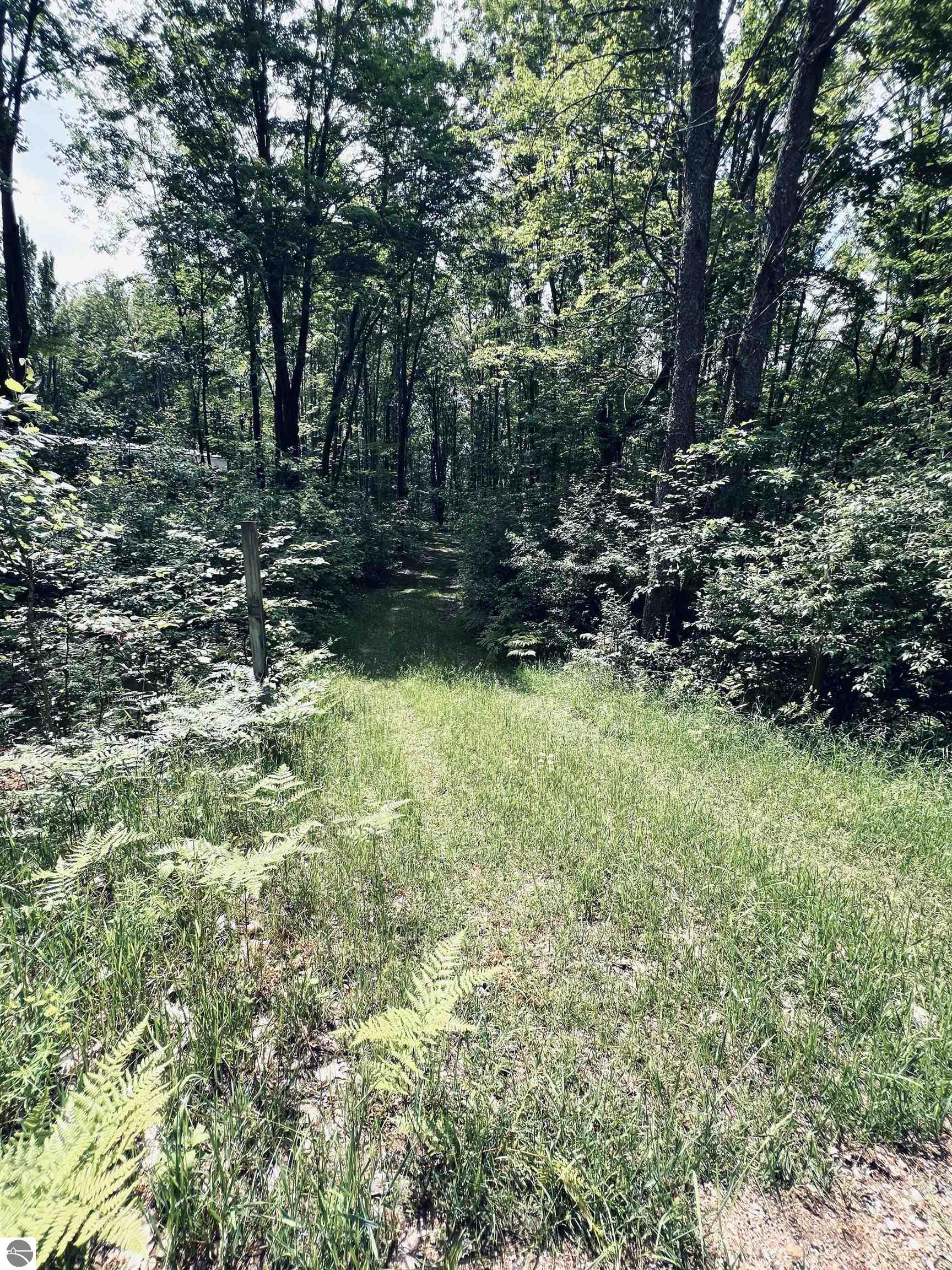 154 Hills Circle, Leroy, MI 49655 — Photo 36