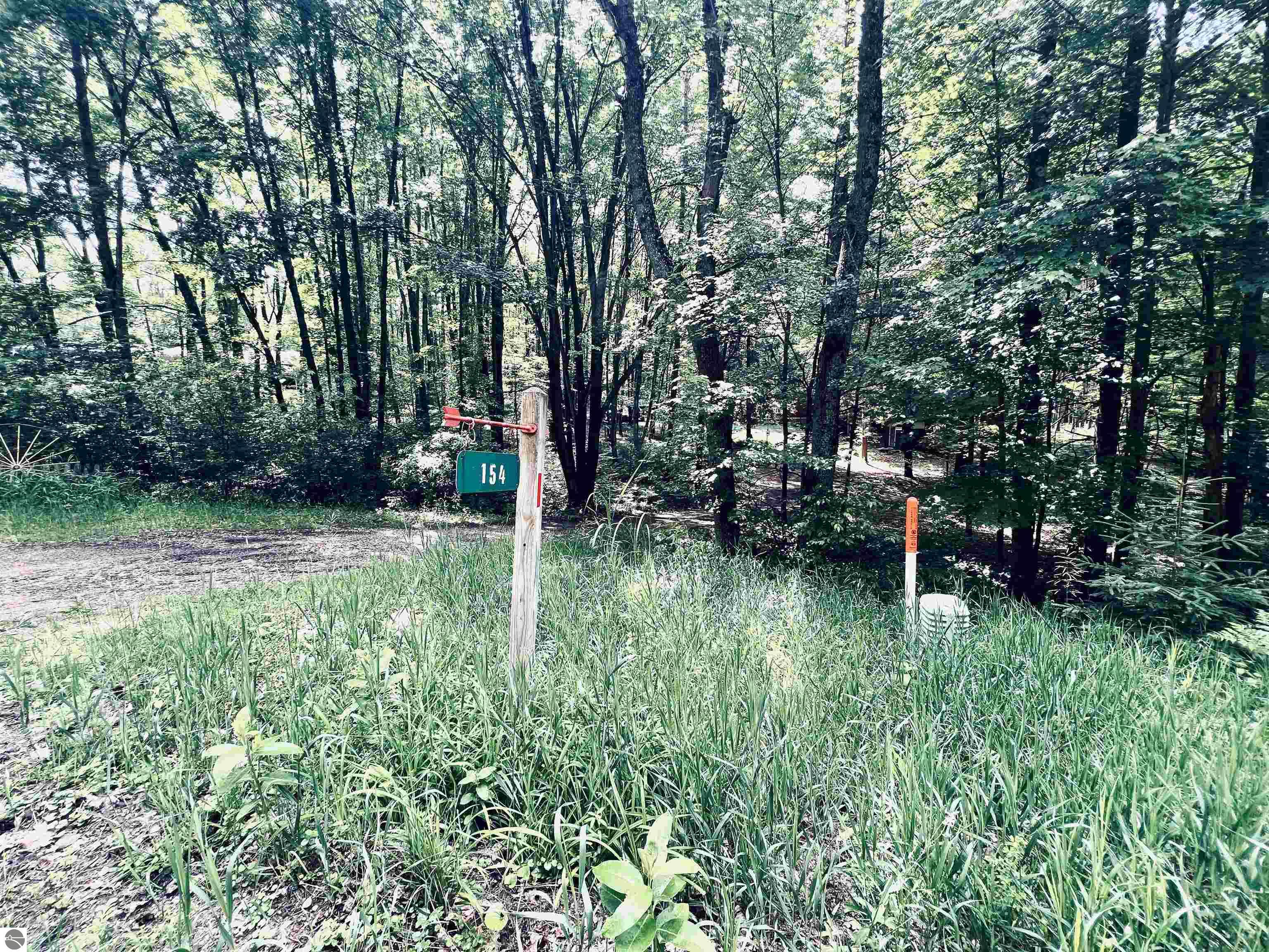 154 Hills Circle, Leroy, MI 49655 — Photo 37