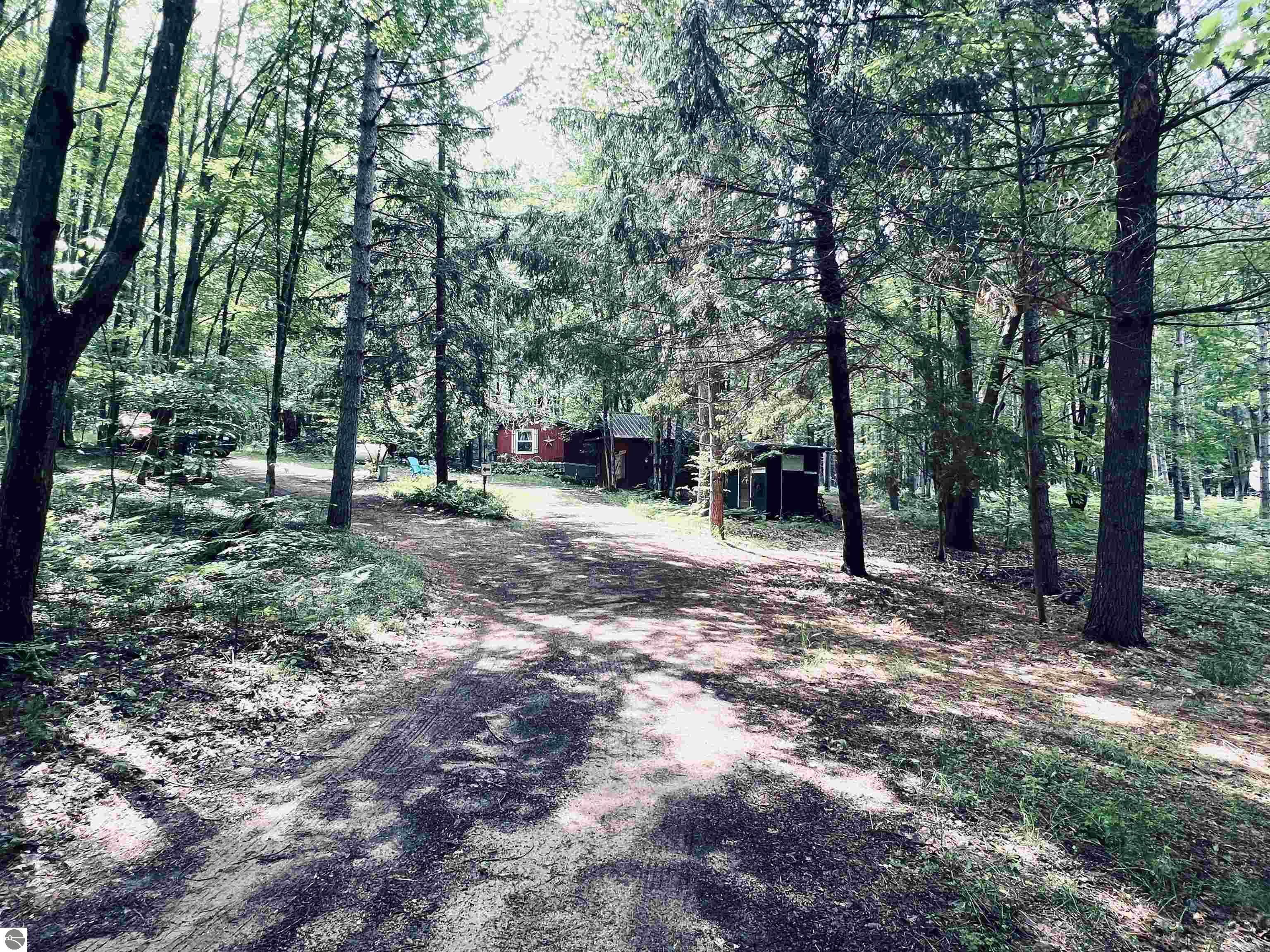 154 Hills Circle, Leroy, MI 49655 — Photo 41