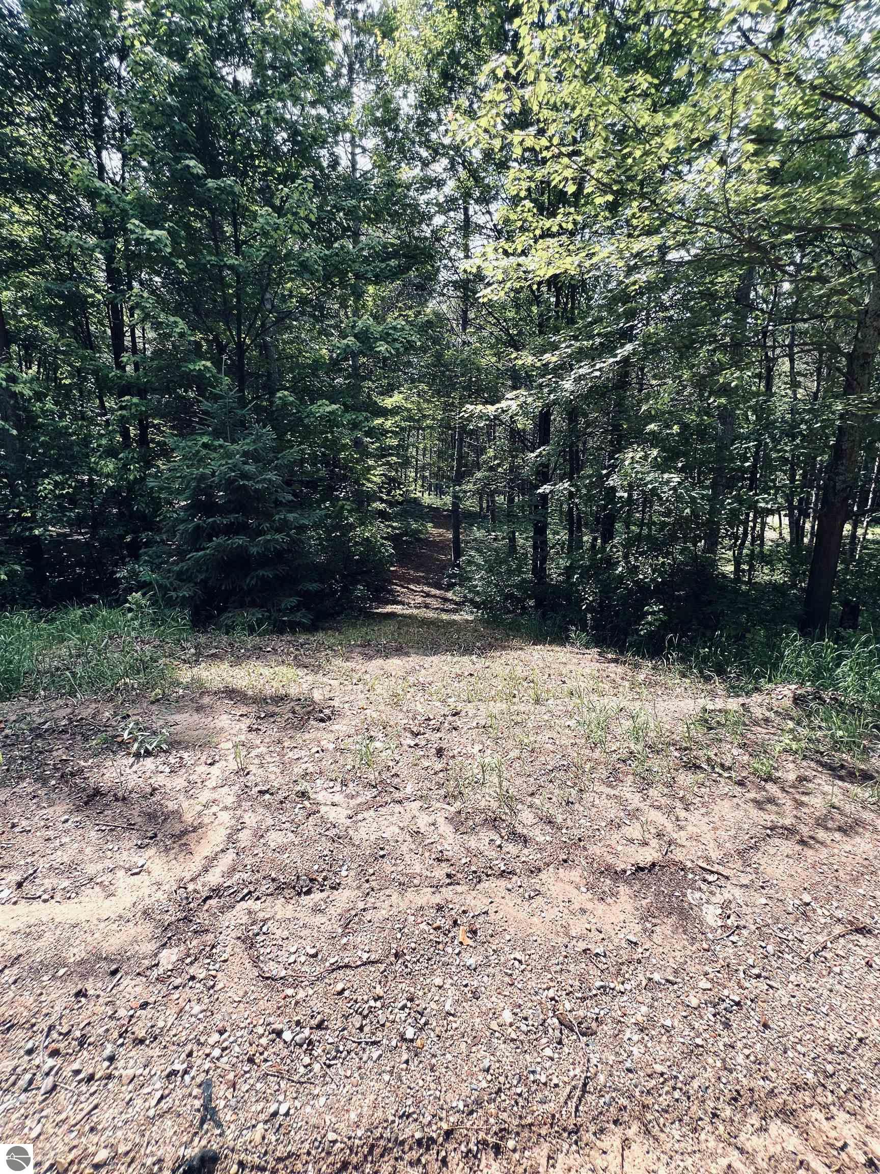 154 Hills Circle, Leroy, MI 49655 — Photo 42