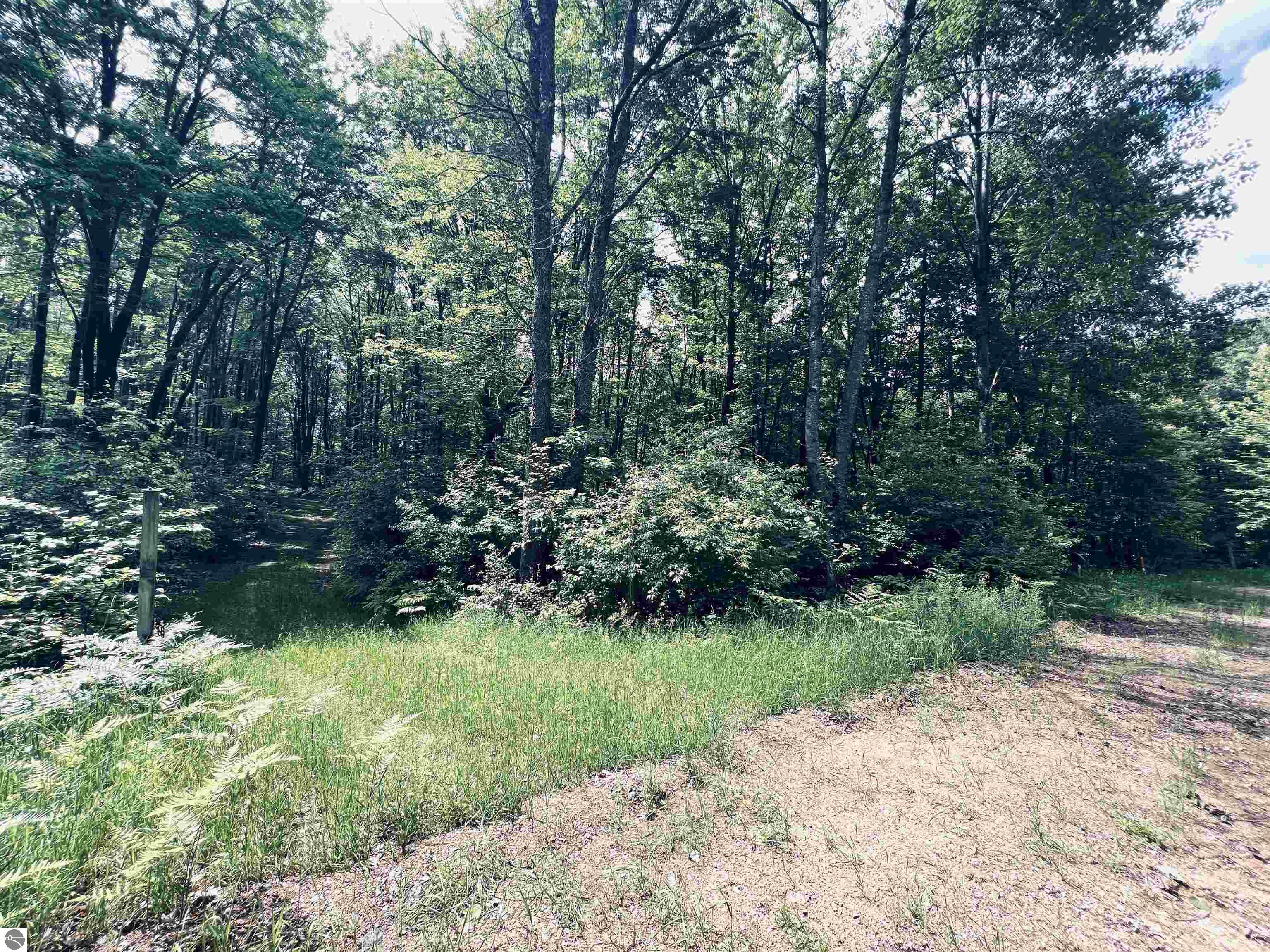 154 Hills Circle, Leroy, MI 49655 — Photo 43