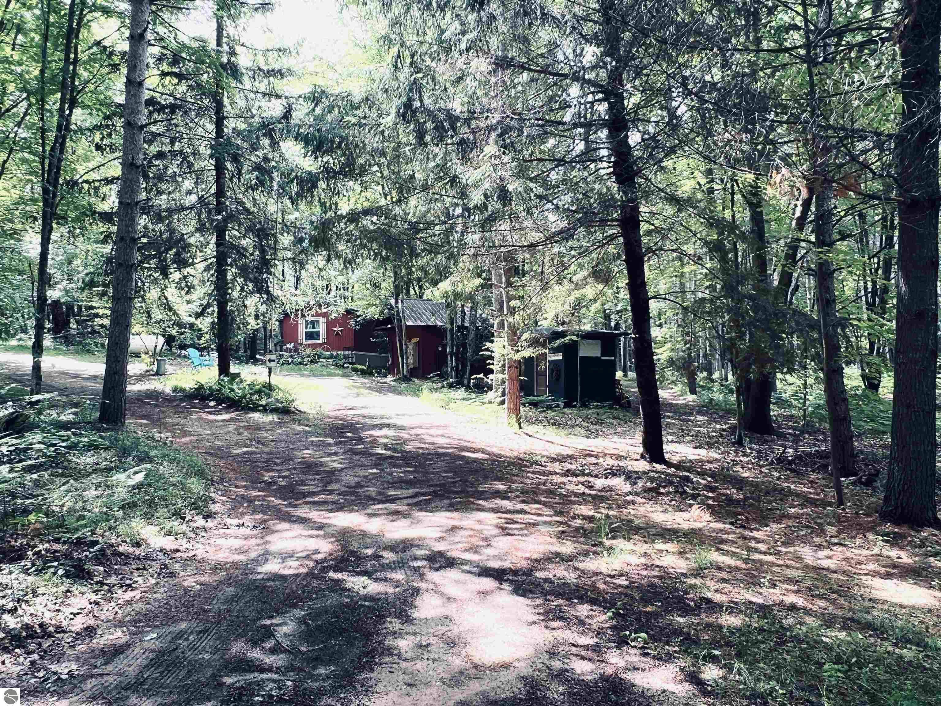 154 Hills Circle, Leroy, MI 49655 — Photo 44