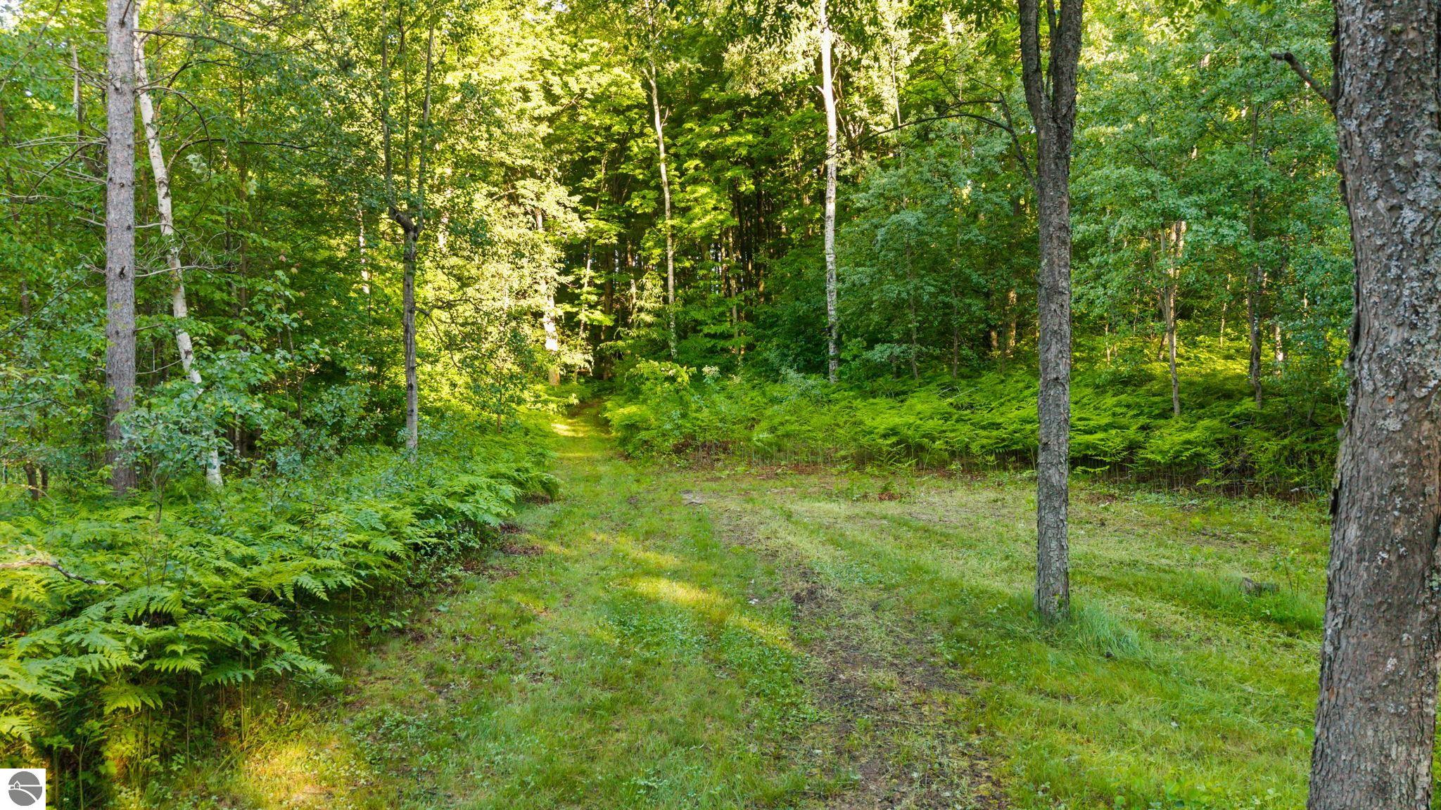 5500 Ryckman Road, South Boardman, MI 49680 — Photo 66