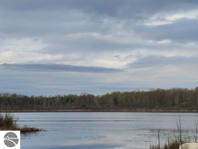 4290 S Lake Drive, Prescott, MI 48756 — Photo 2