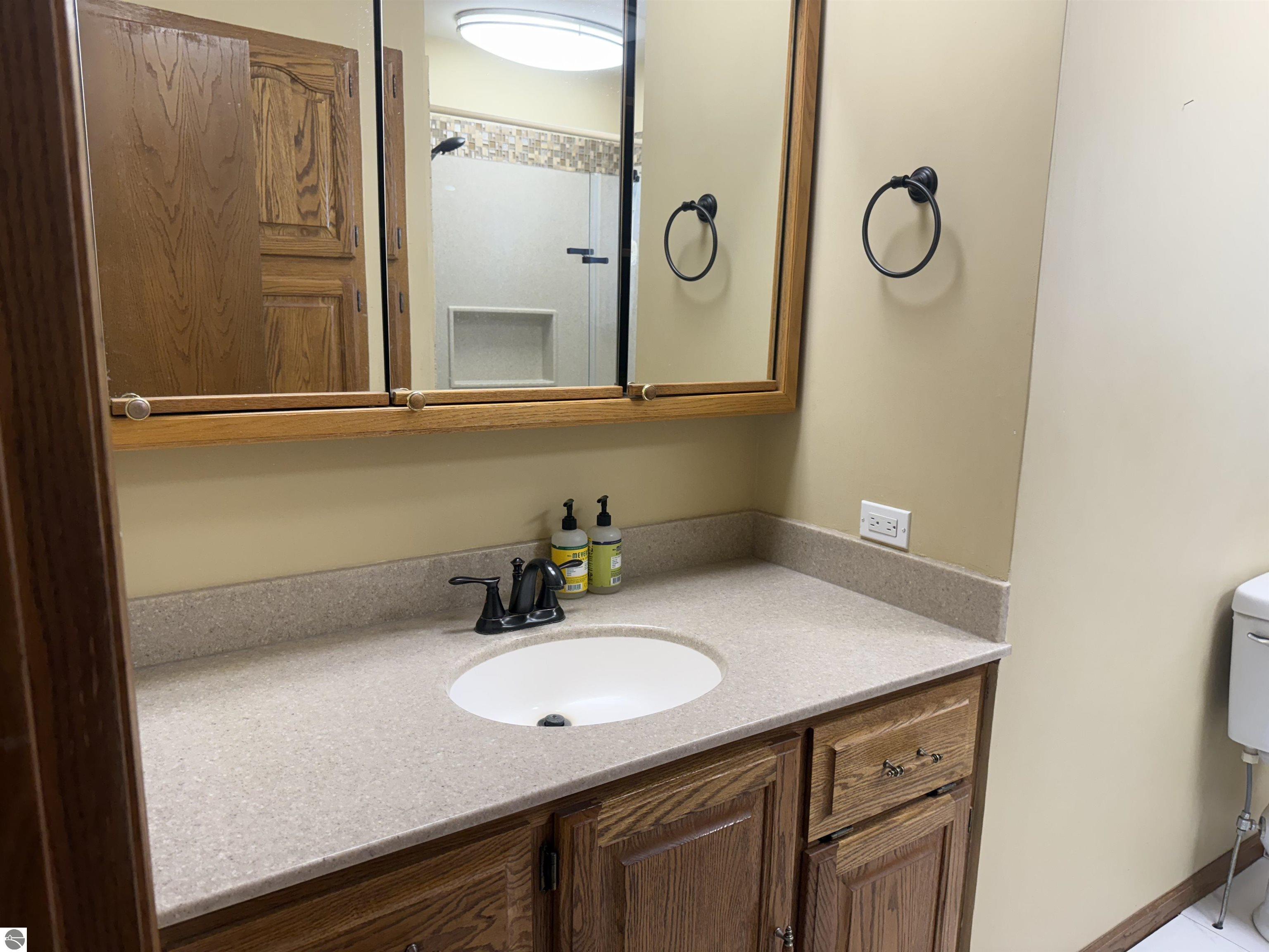 7873 S Rich Road, Middleton, MI 48856 — Photo 37