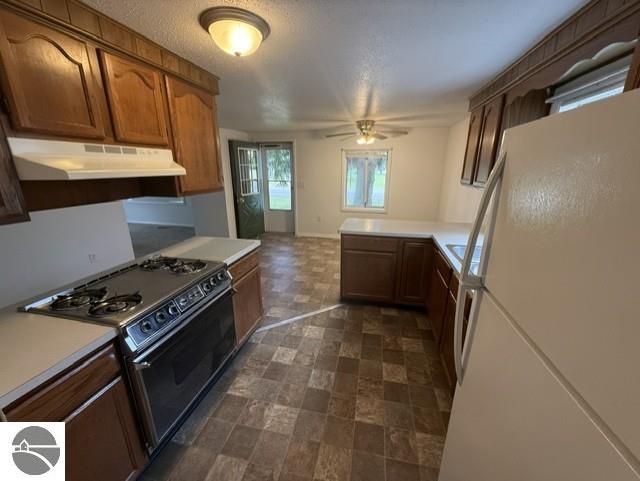 744 Saint Johns Street, Ithaca, MI 48847 — Photo 4