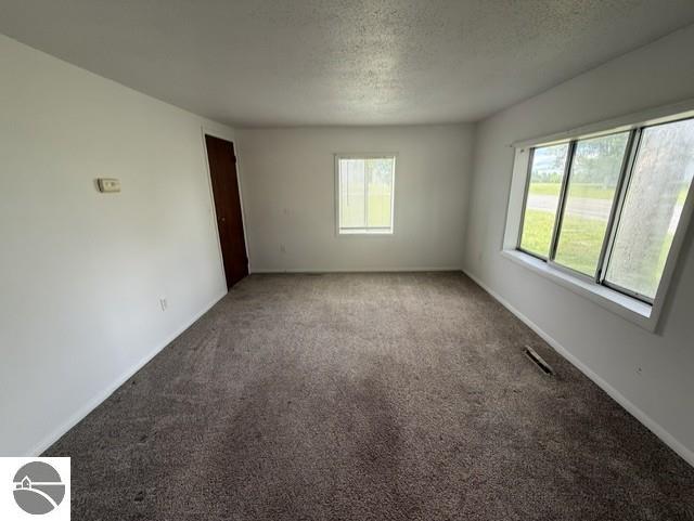744 Saint Johns Street, Ithaca, MI 48847 — Photo 6