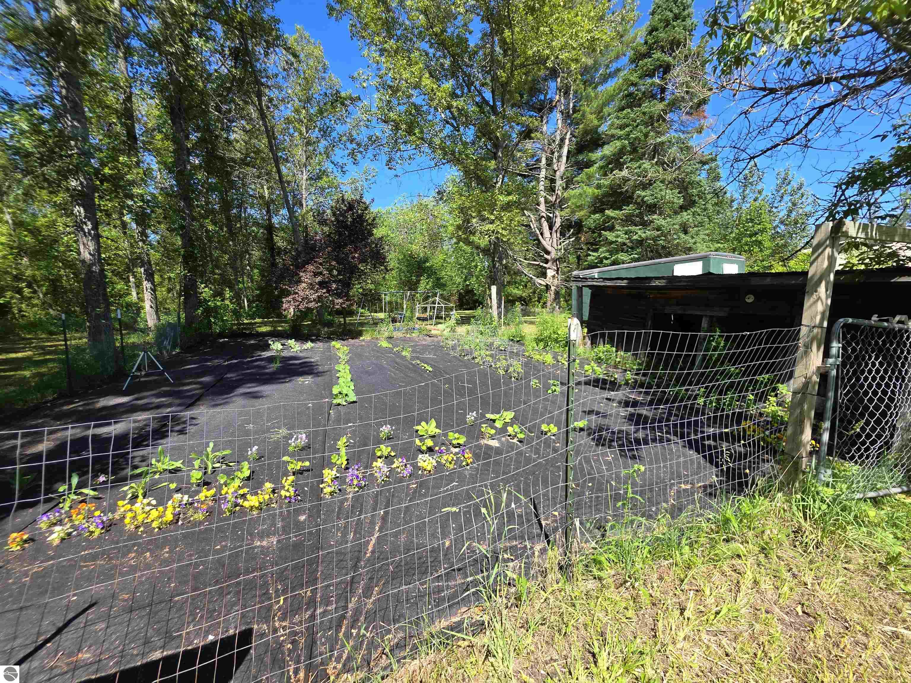 520 NE Old M-66, Kalkaska, MI 49646 — Photo 27