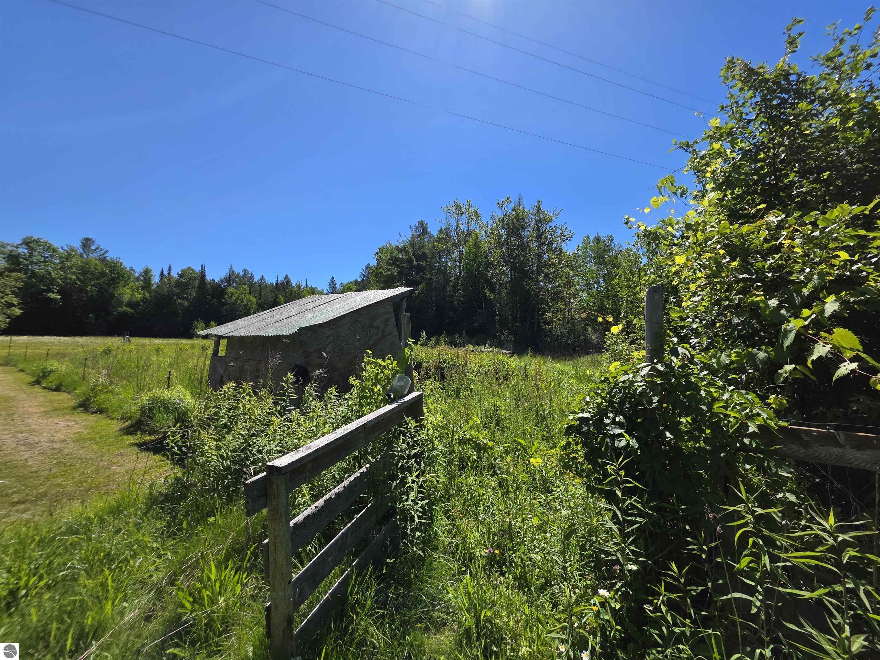 520 NE Old M-66, Kalkaska, MI 49646 — Photo 31