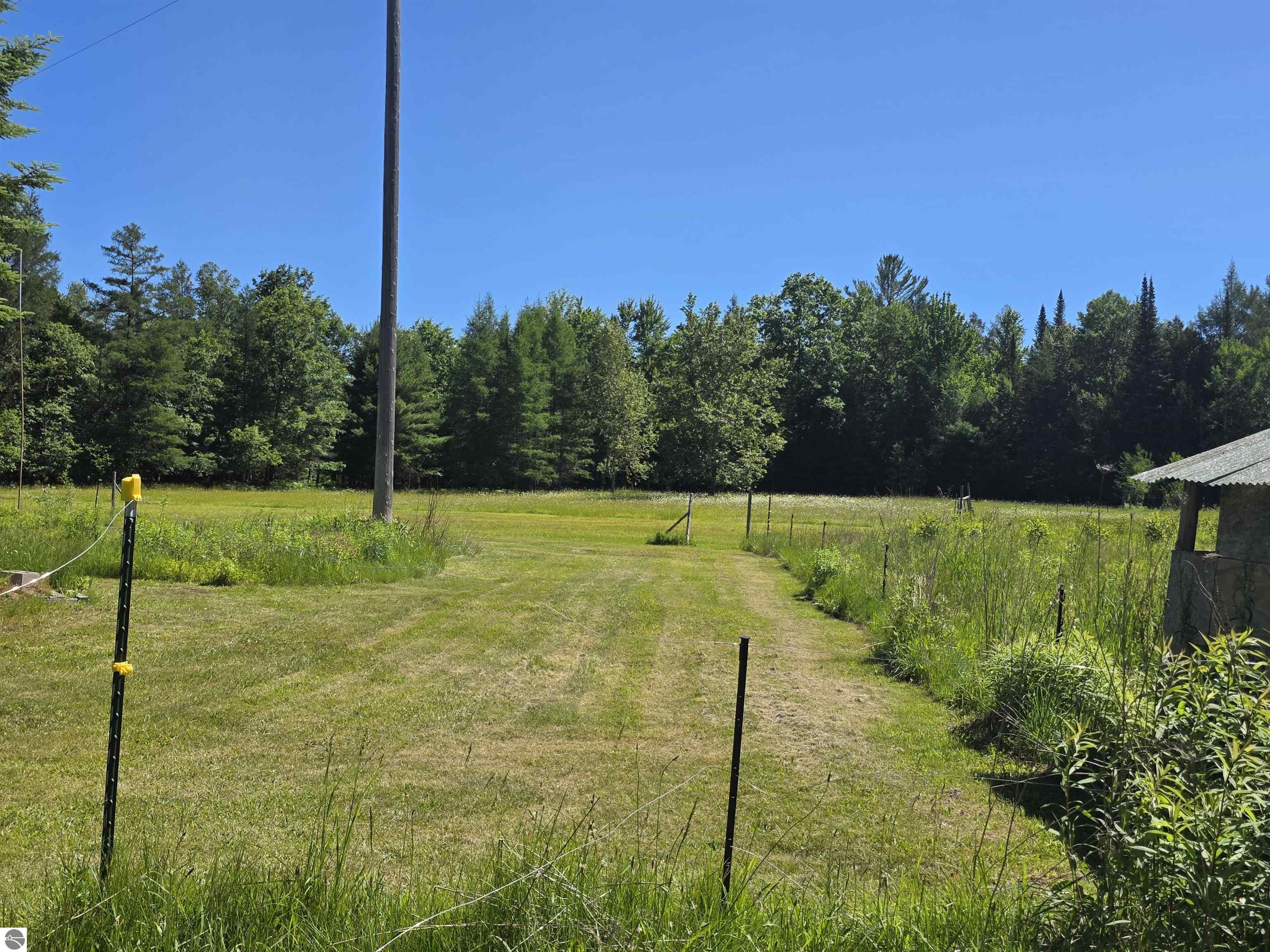 520 NE Old M-66, Kalkaska, MI 49646 — Photo 32