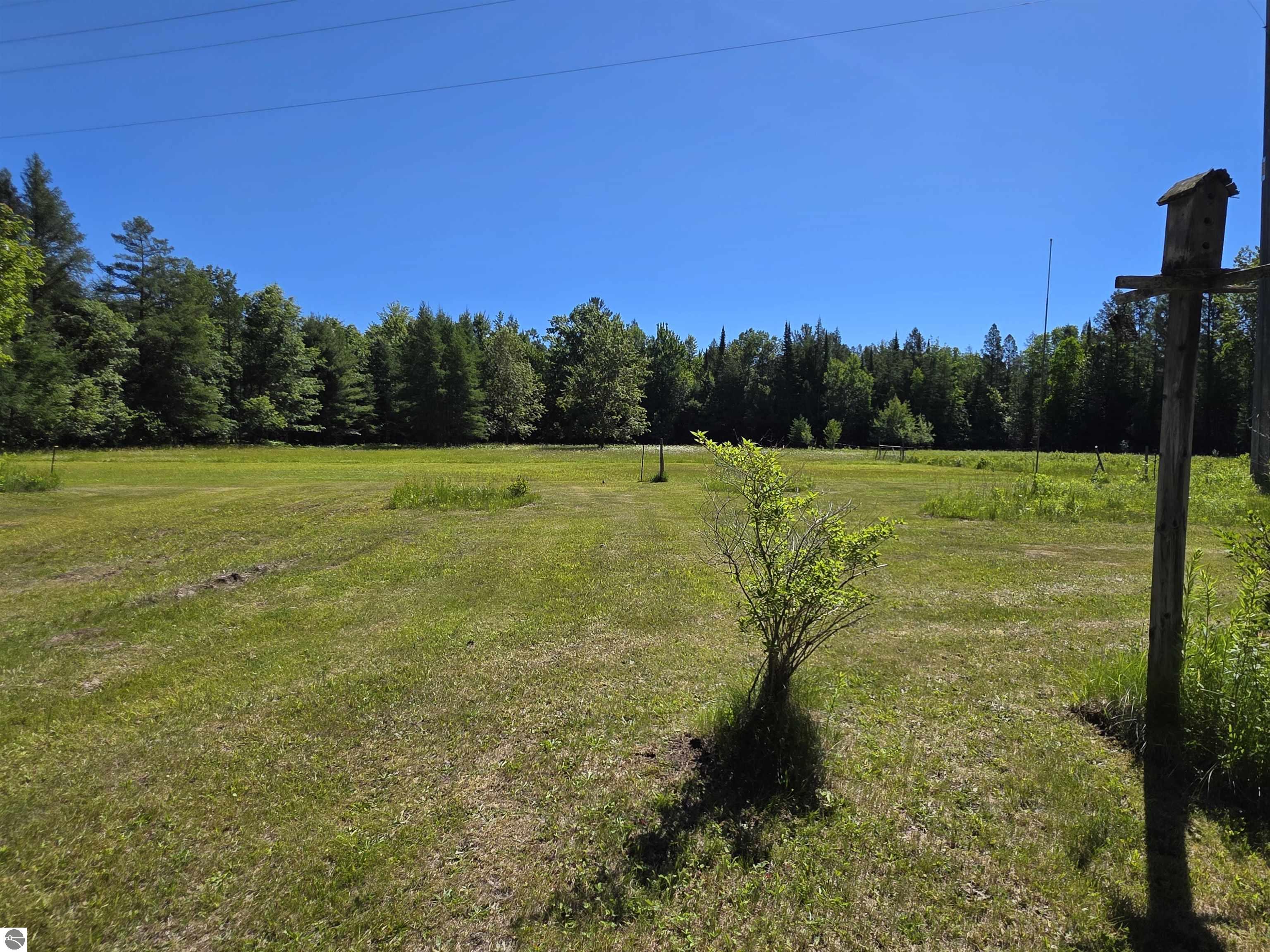 520 NE Old M-66, Kalkaska, MI 49646 — Photo 34