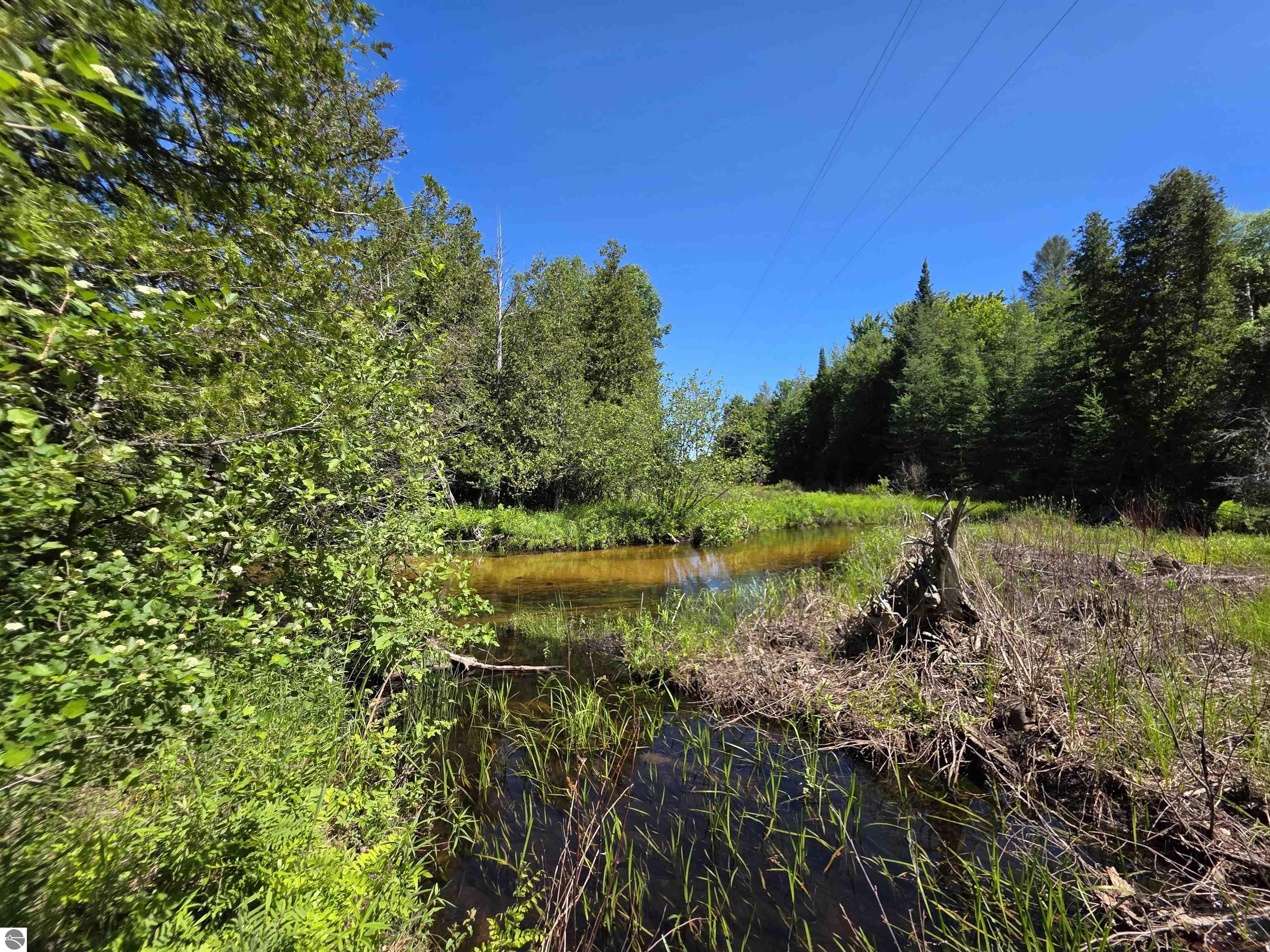 520 NE Old M-66, Kalkaska, MI 49646 — Photo 39