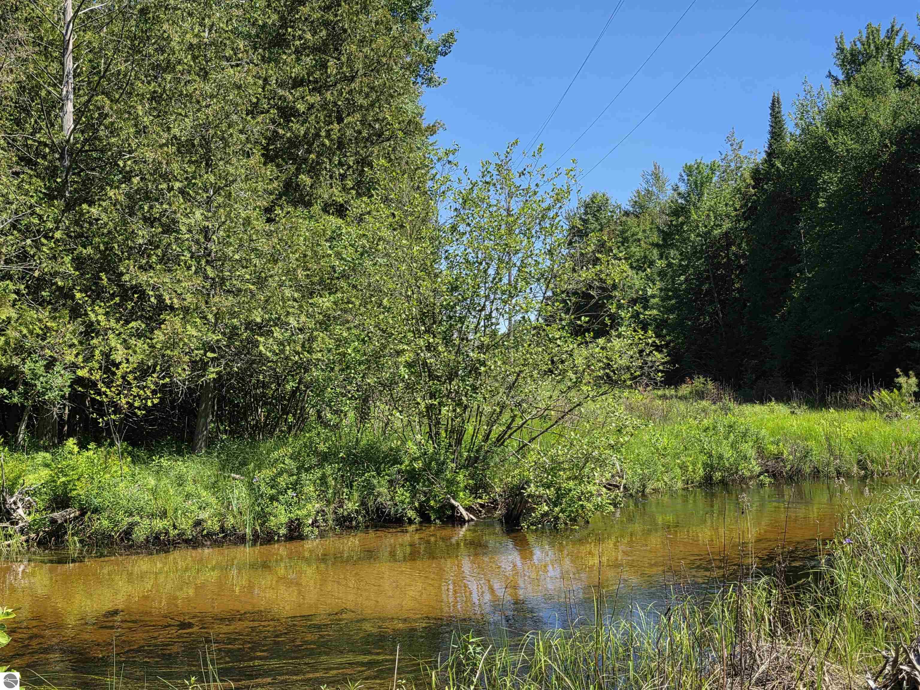 520 NE Old M-66, Kalkaska, MI 49646 — Photo 40