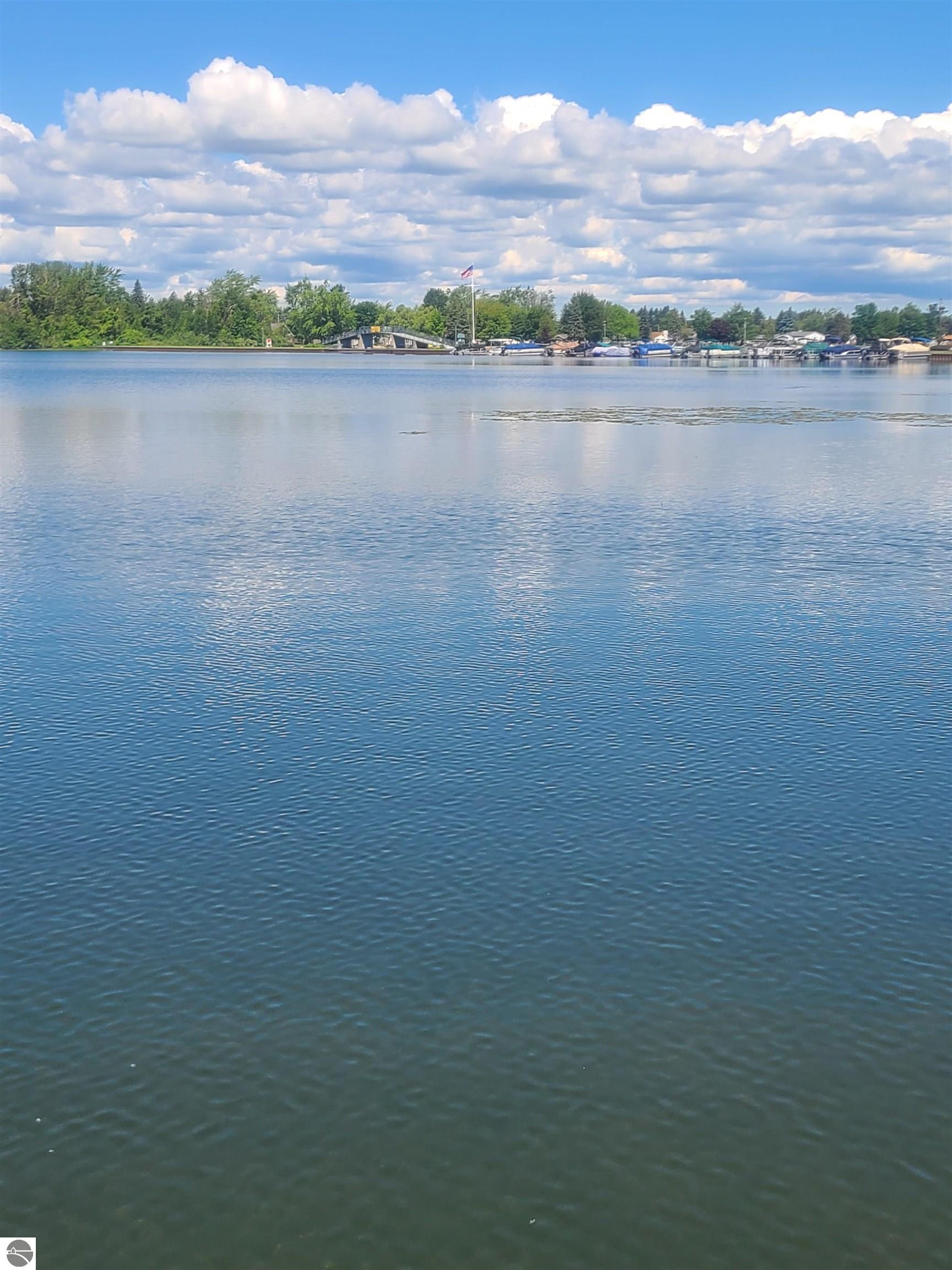 7589 E Cedar Lake Drive, Greenbush, MI 48738 — Photo 29