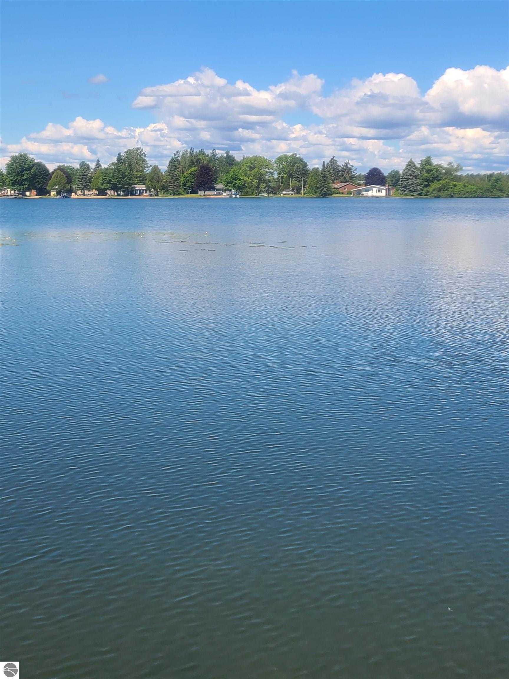 7589 E Cedar Lake Drive, Greenbush, MI 48738 — Photo 30