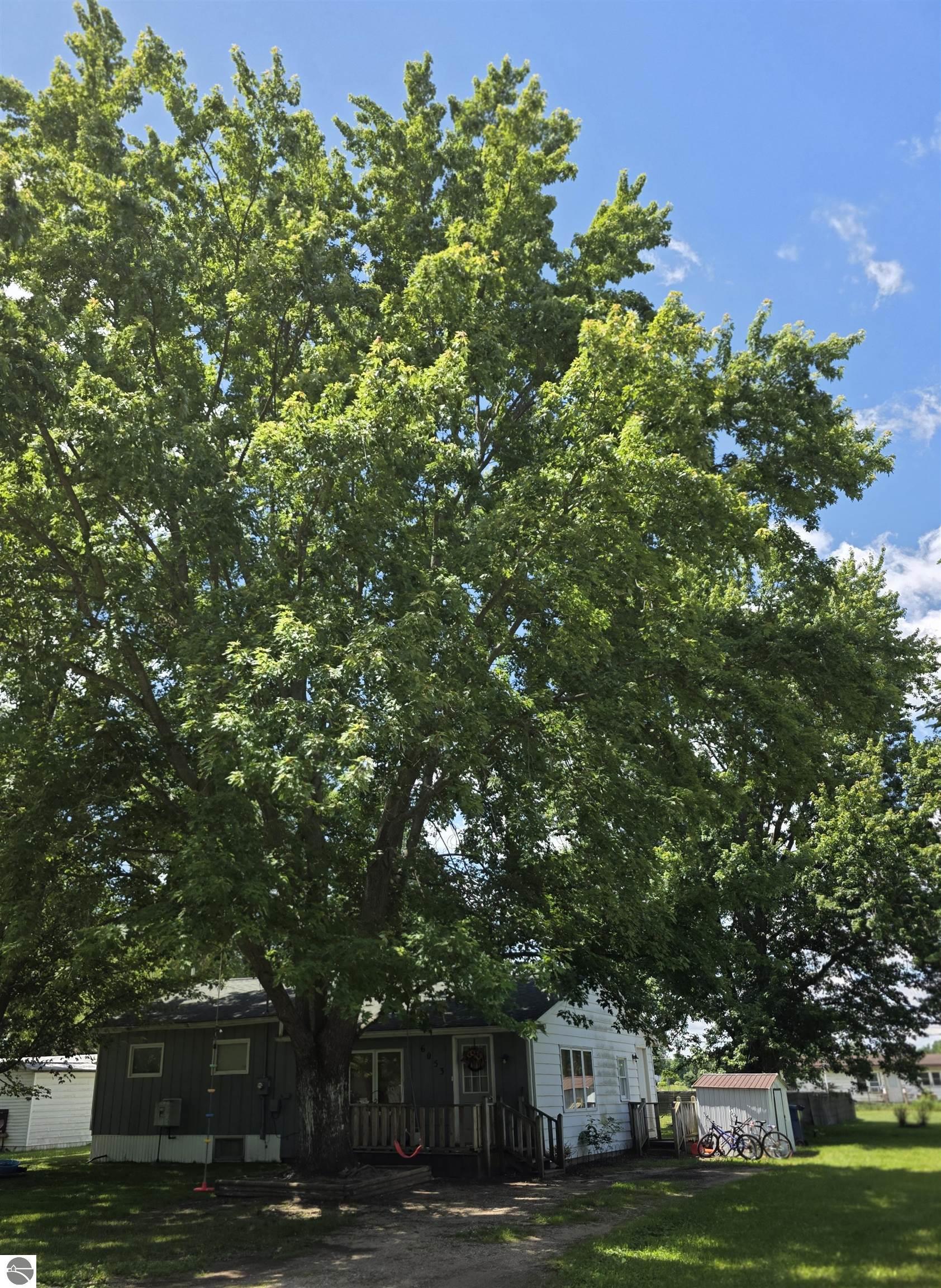6053 NW Mill, Riverdale, MI 48877 — Photo 19
