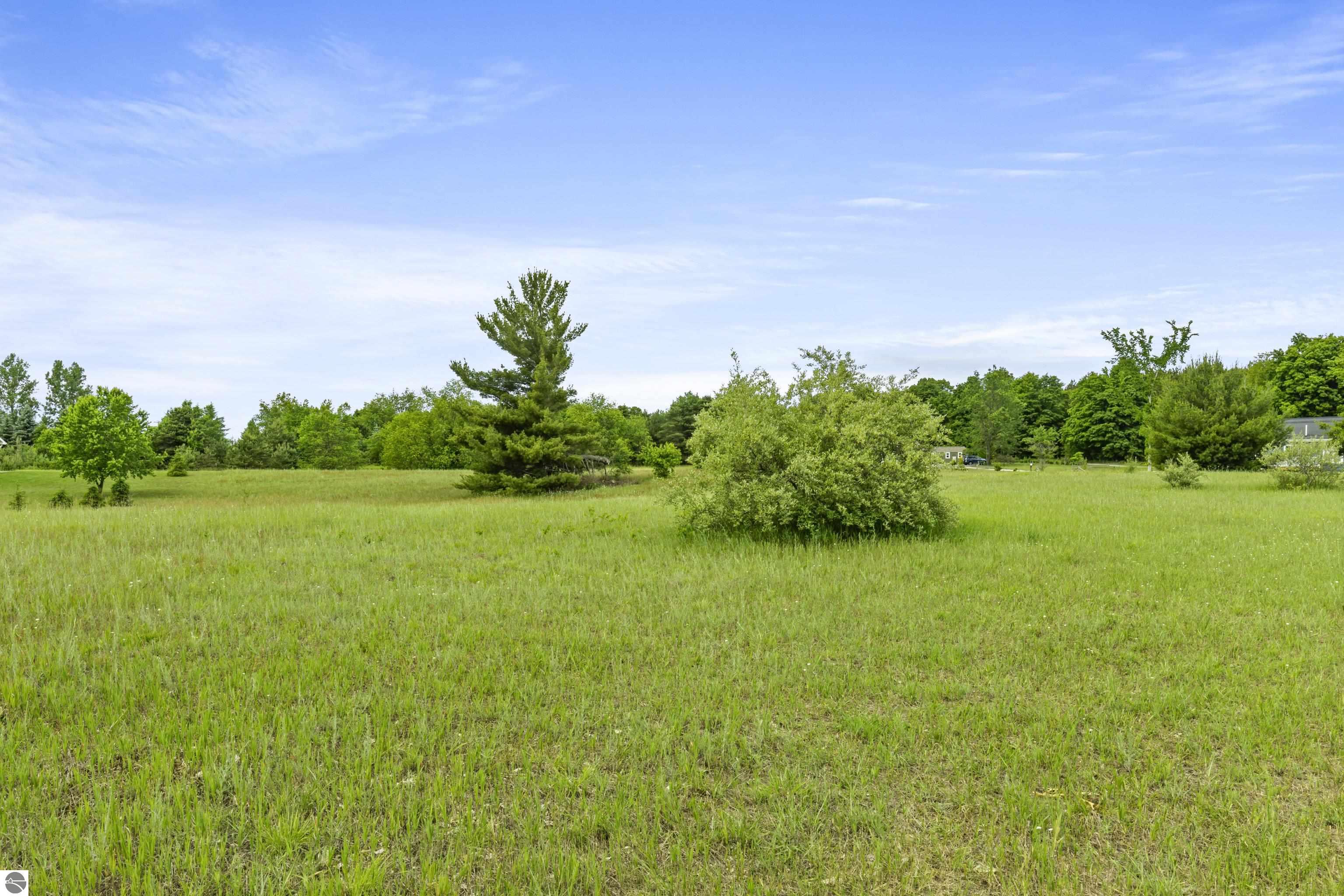 0 Scenic Drive, Honor, MI 49640 — Photo 2