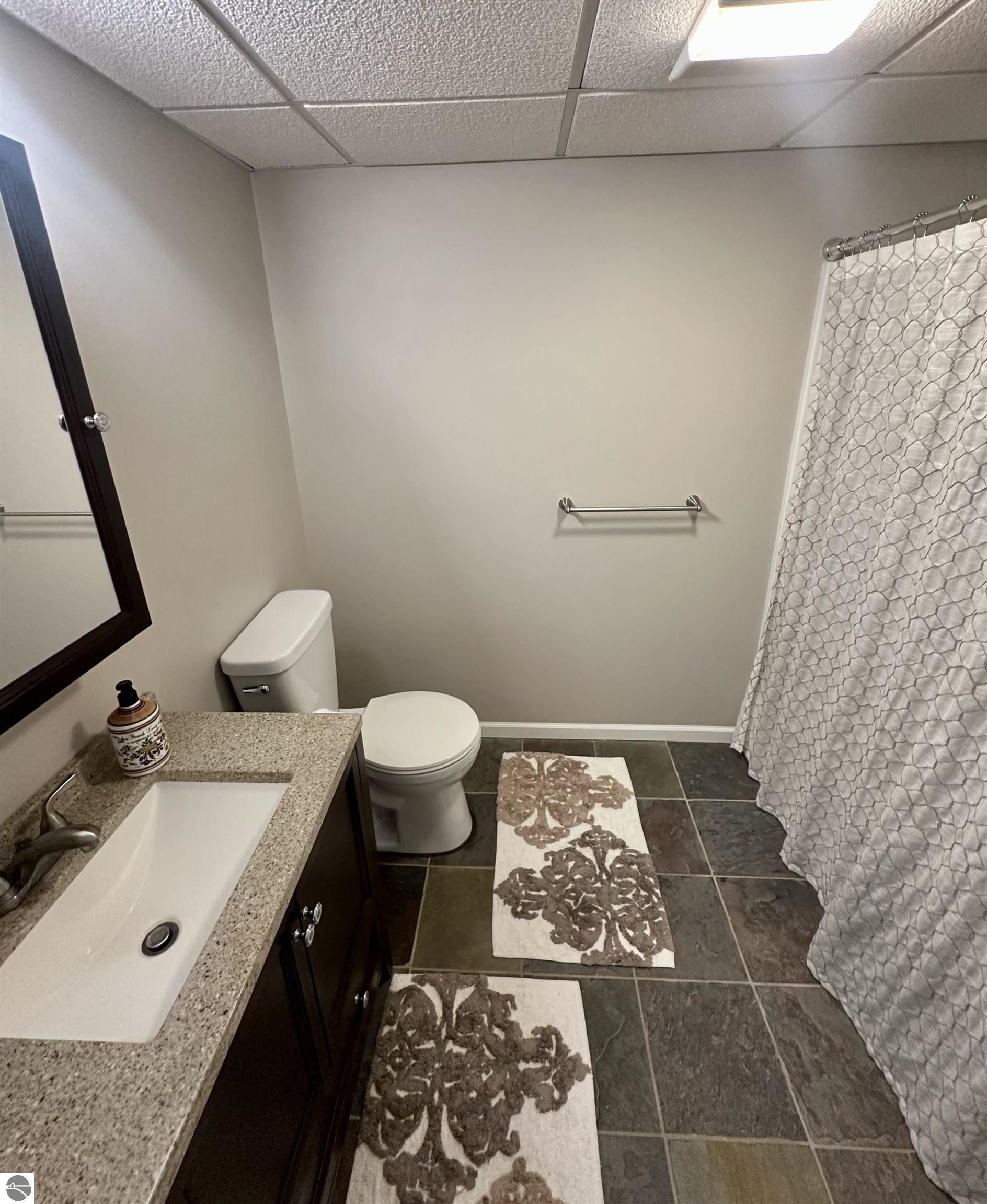 8500 Bent Pine Drive, Lake Ann, MI 49650 — Photo 43