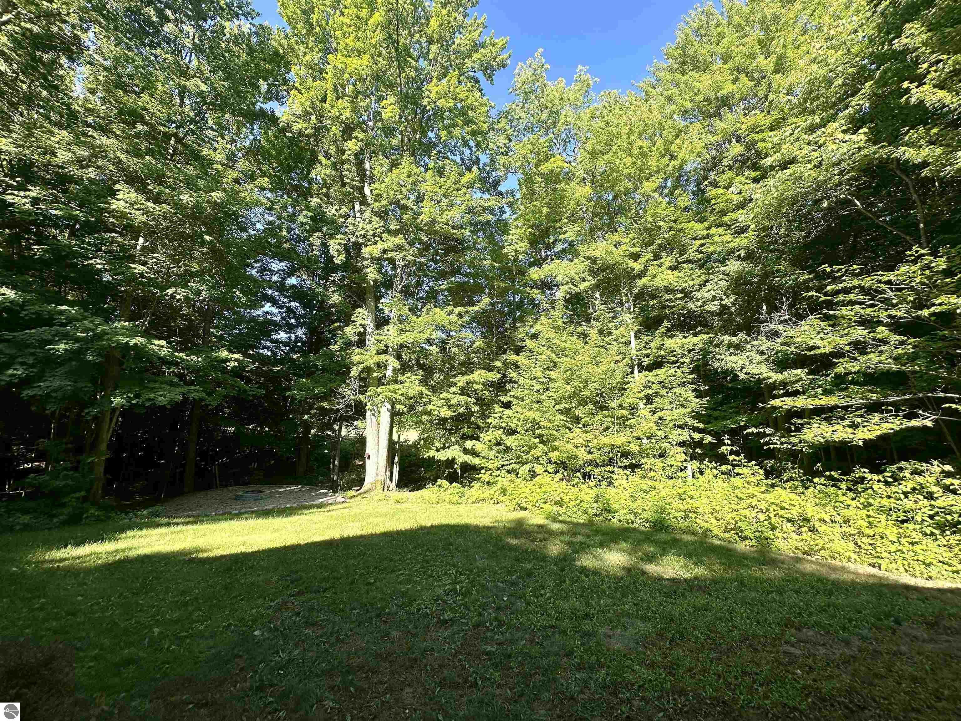 8500 Bent Pine Drive, Lake Ann, MI 49650 — Photo 7