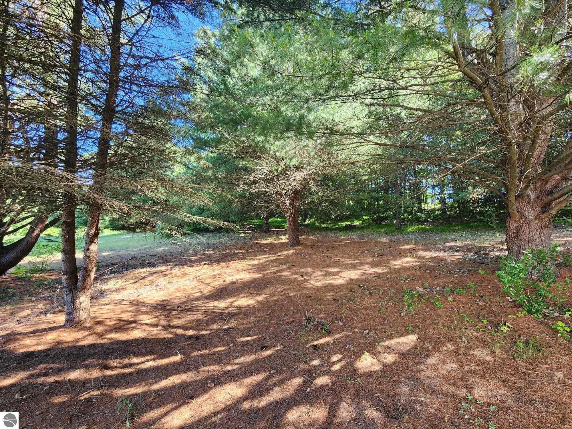 10221 E Church Road, Vestaburg, MI 48891 — Photo 44