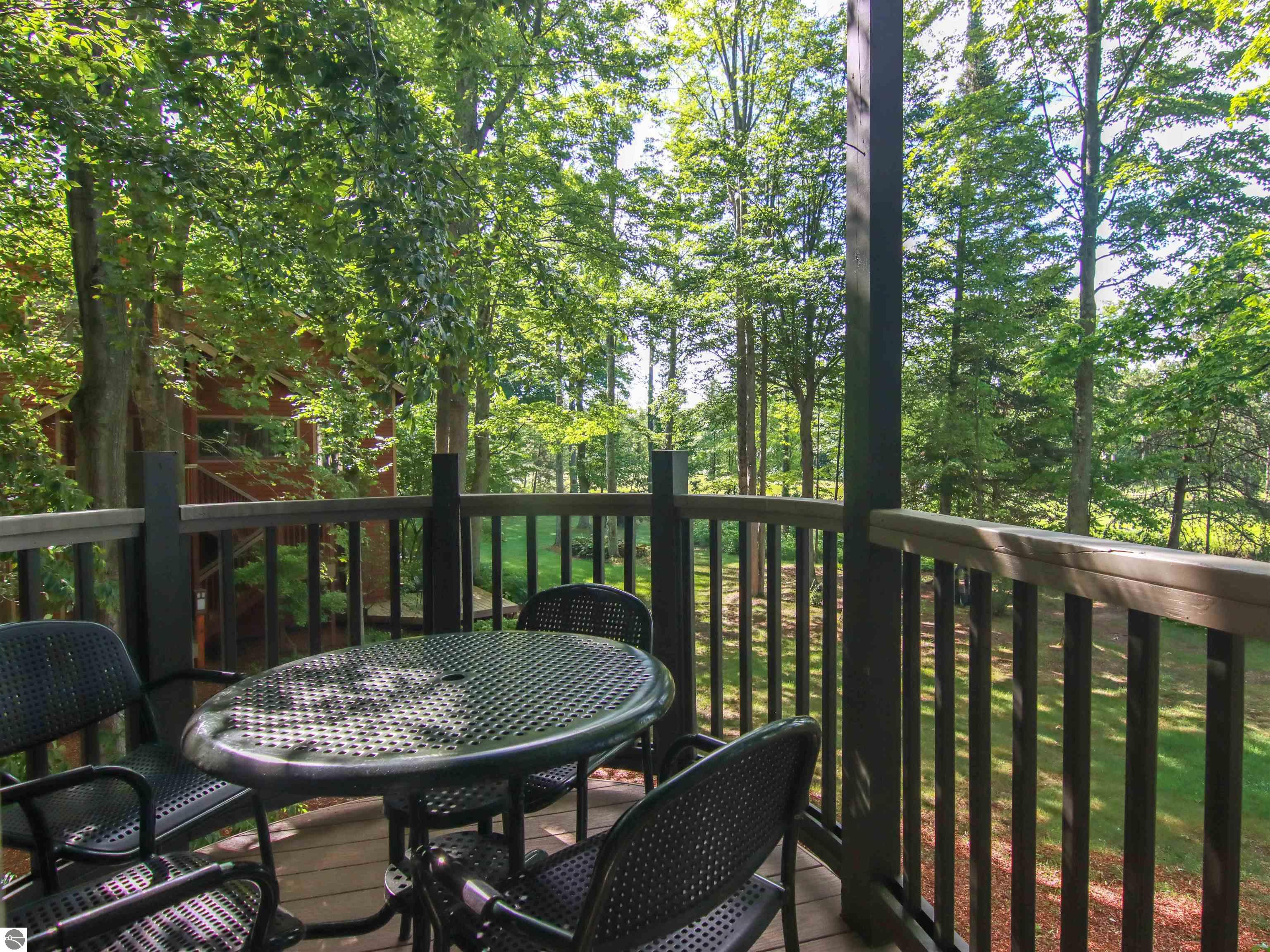12375-Unit 504 Wintergreen Drive, Thompsonville, MI 49683 — Photo 17