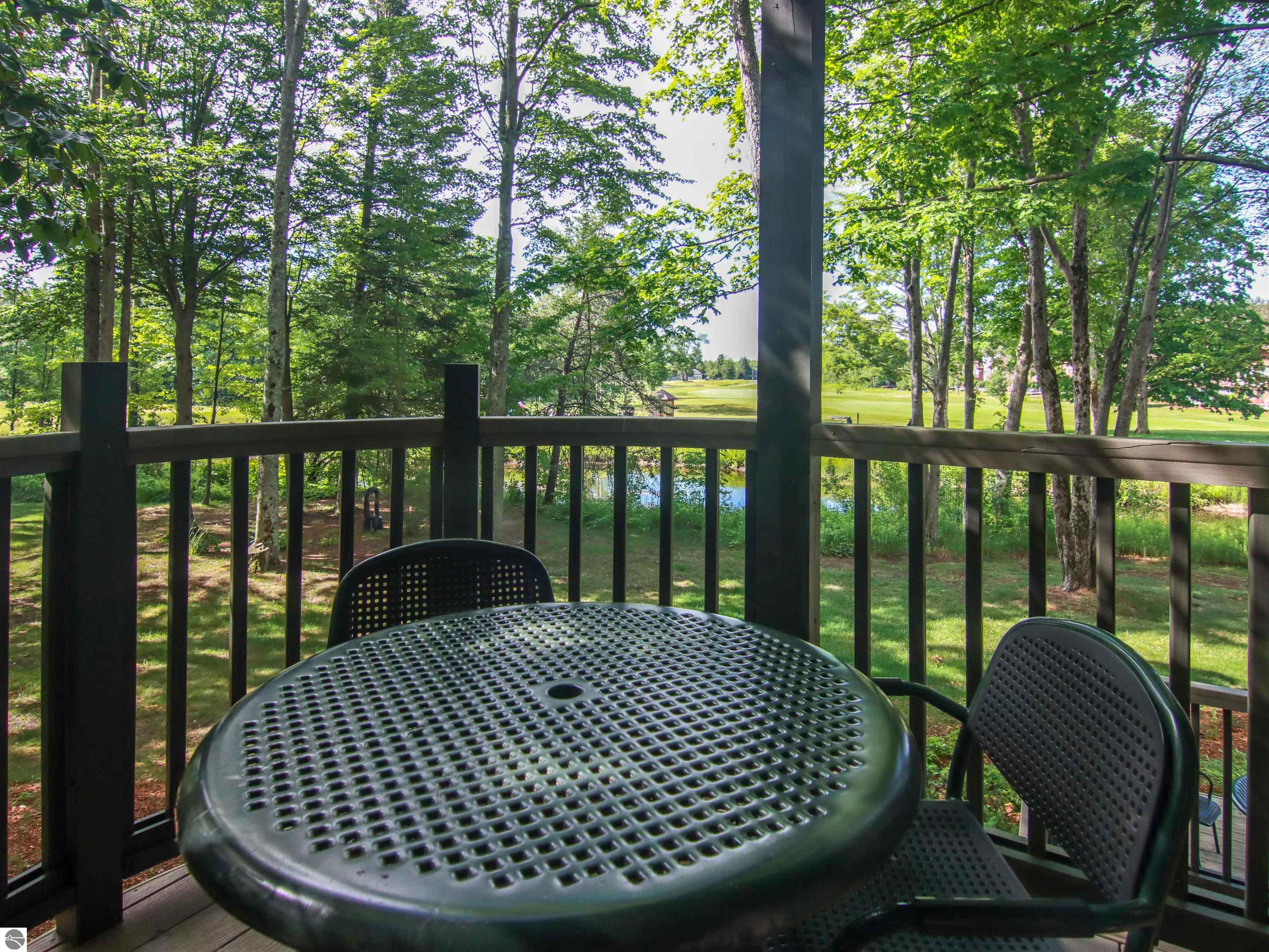 12375-Unit 504 Wintergreen Drive, Thompsonville, MI 49683 — Photo 18