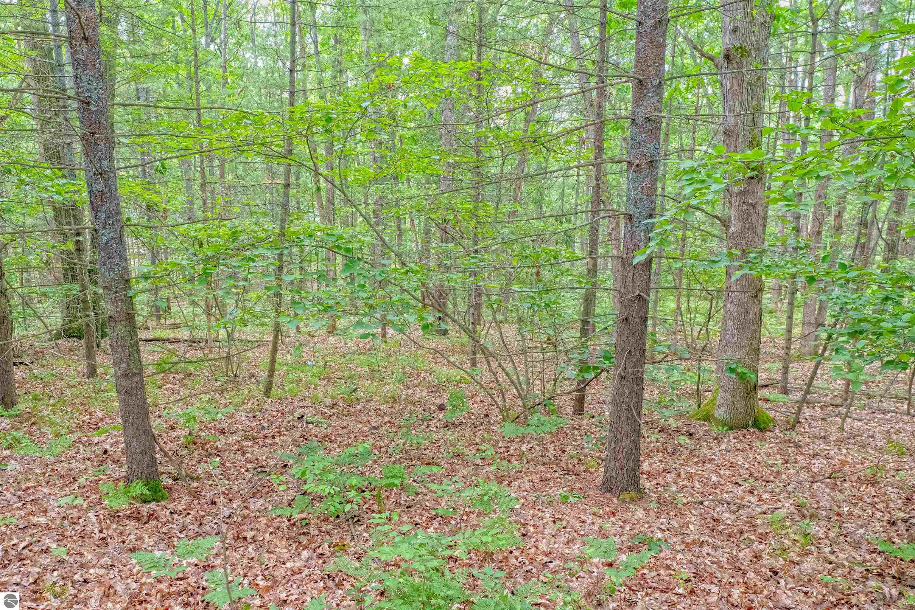 VL Shelby Street, Fife Lake, MI 49633 — Photo 7