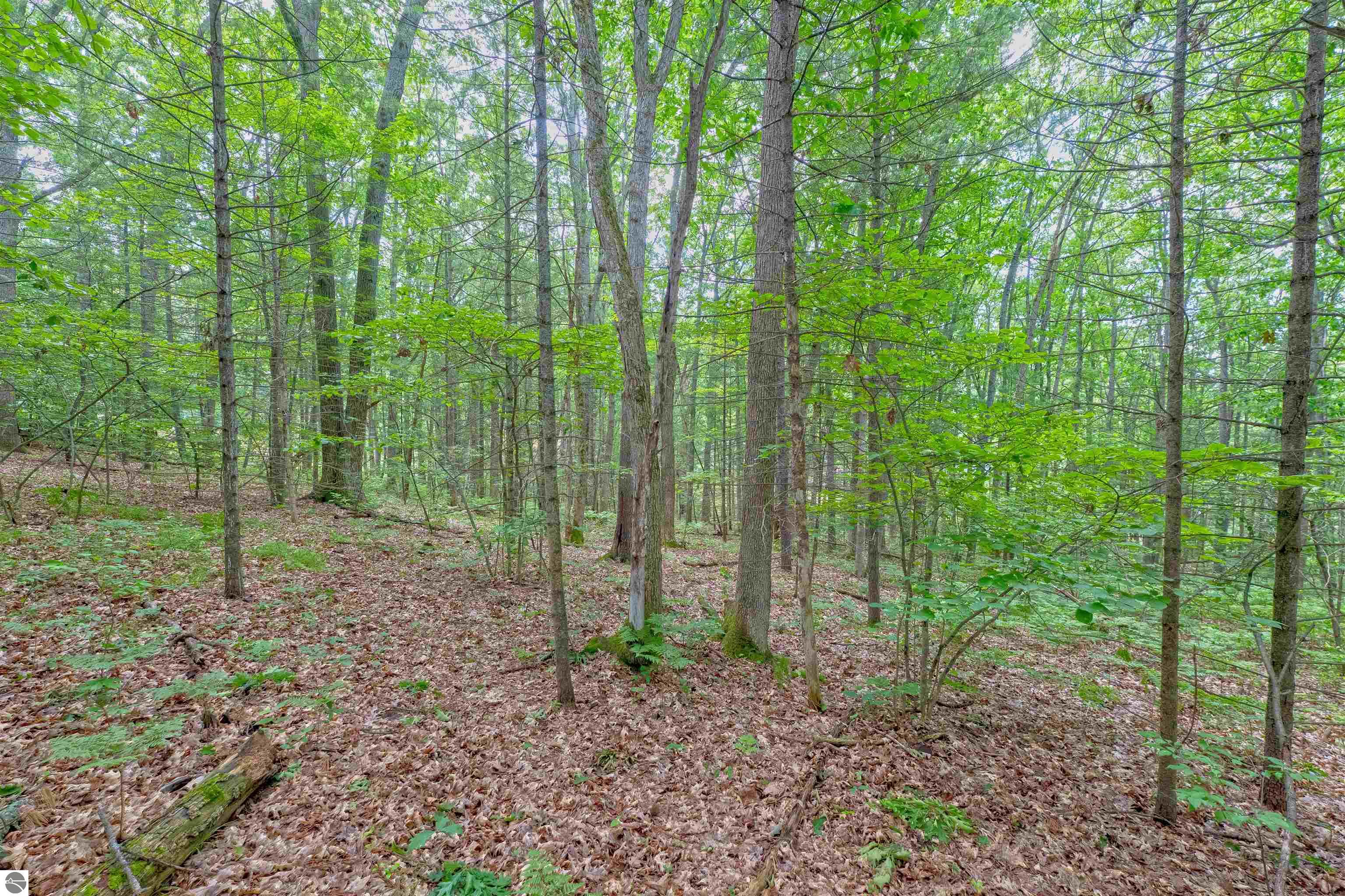 VL Shelby Street, Fife Lake, MI 49633 — Photo 8